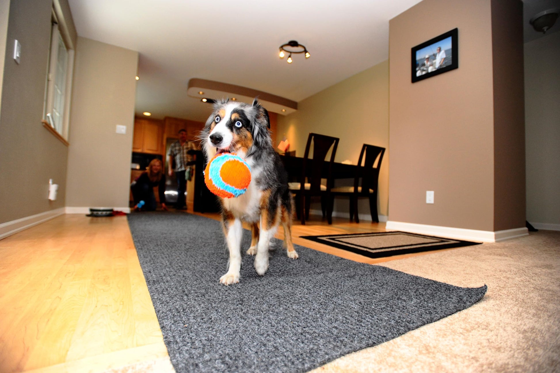 Chuck It Pelota Suave Indoor, Colores Surtidos