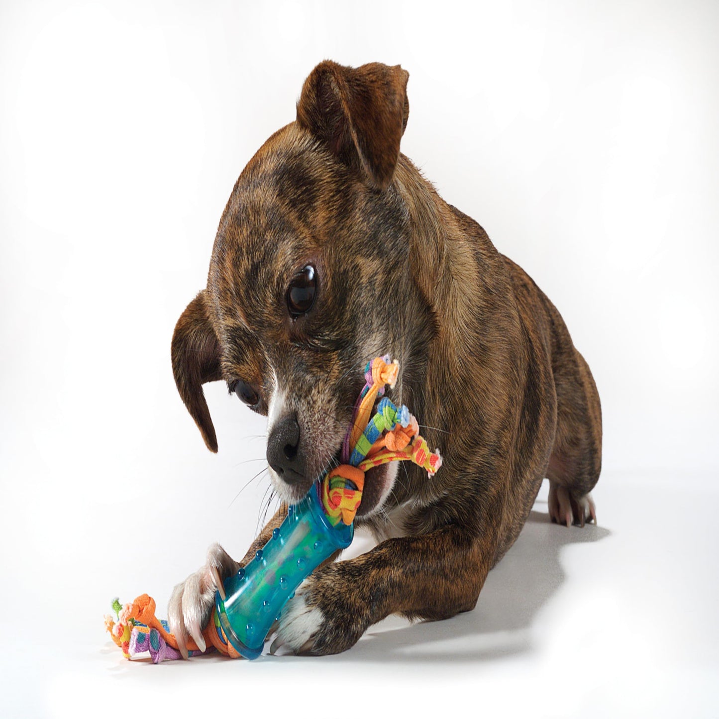 Pack de Juguetes Dentales para Mascotas Petstages Mini