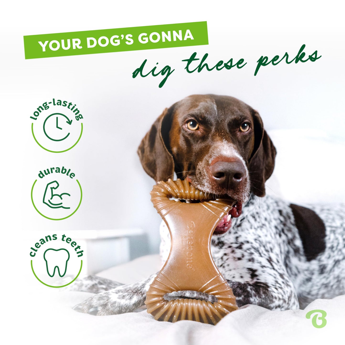 Benebone Bacon Flavored Dental Chew Toy