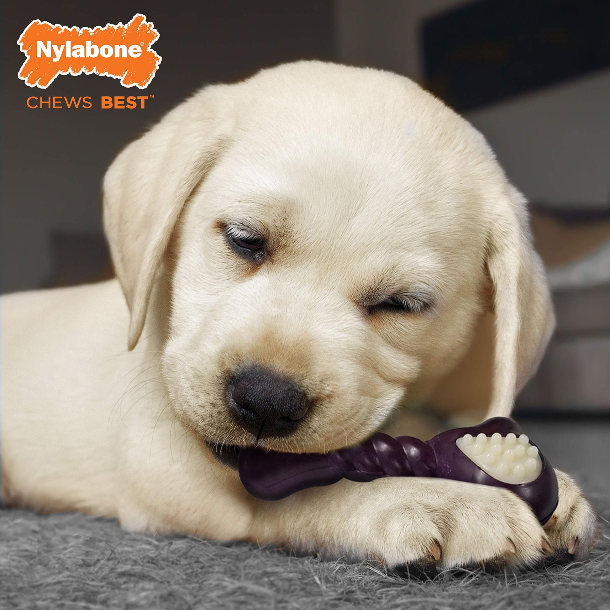 Hueso Nylabone NTG203P Puppy Verde Double Action Regular