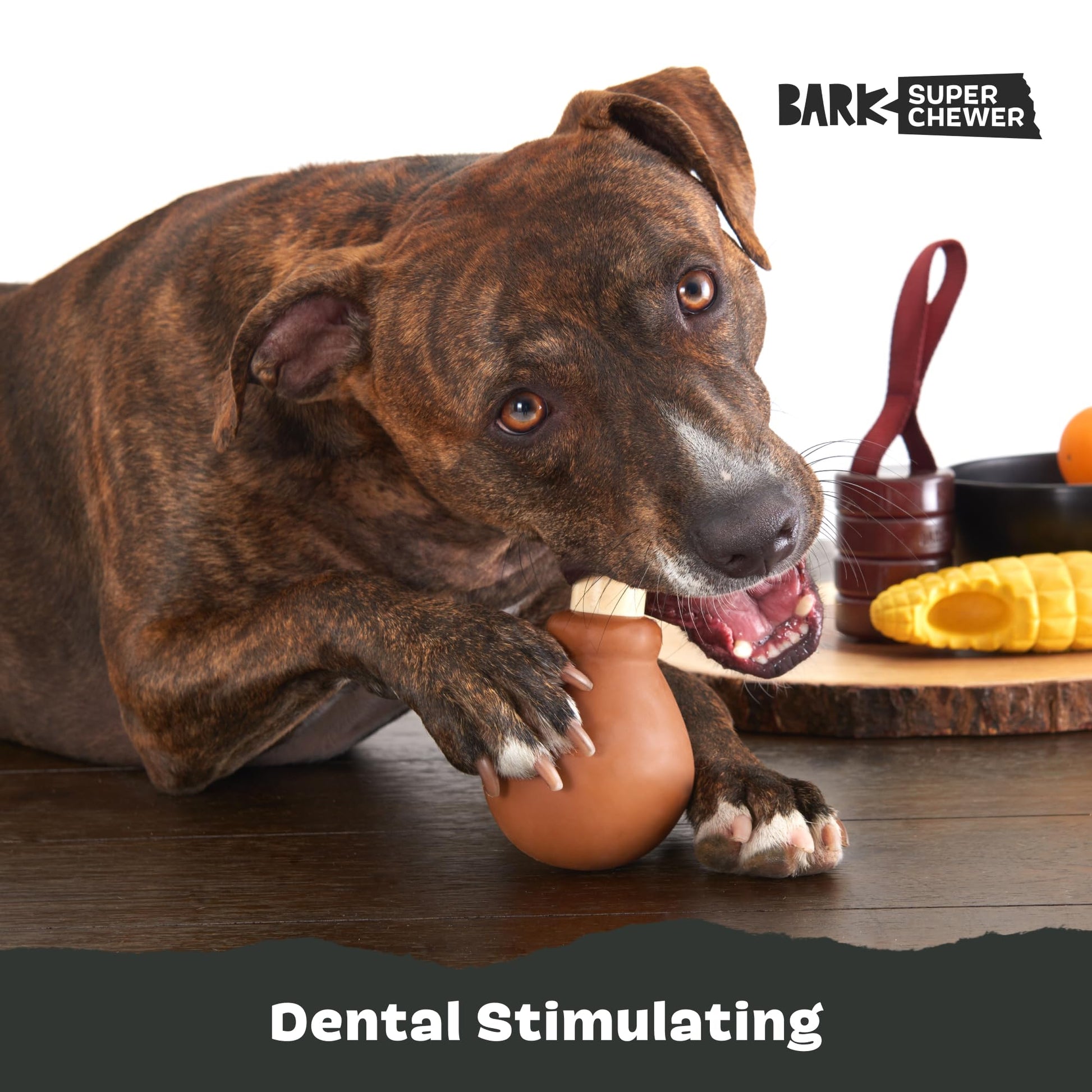 BarkBox Juguetes y masticables perfumados para perros con temática de alimentos, goma resistente y nailon súper masticador dispensador de golosinas, bolas y juguetes de dentición para perros y cachorros pequeños, medianos y grandes, baquetas para el día d