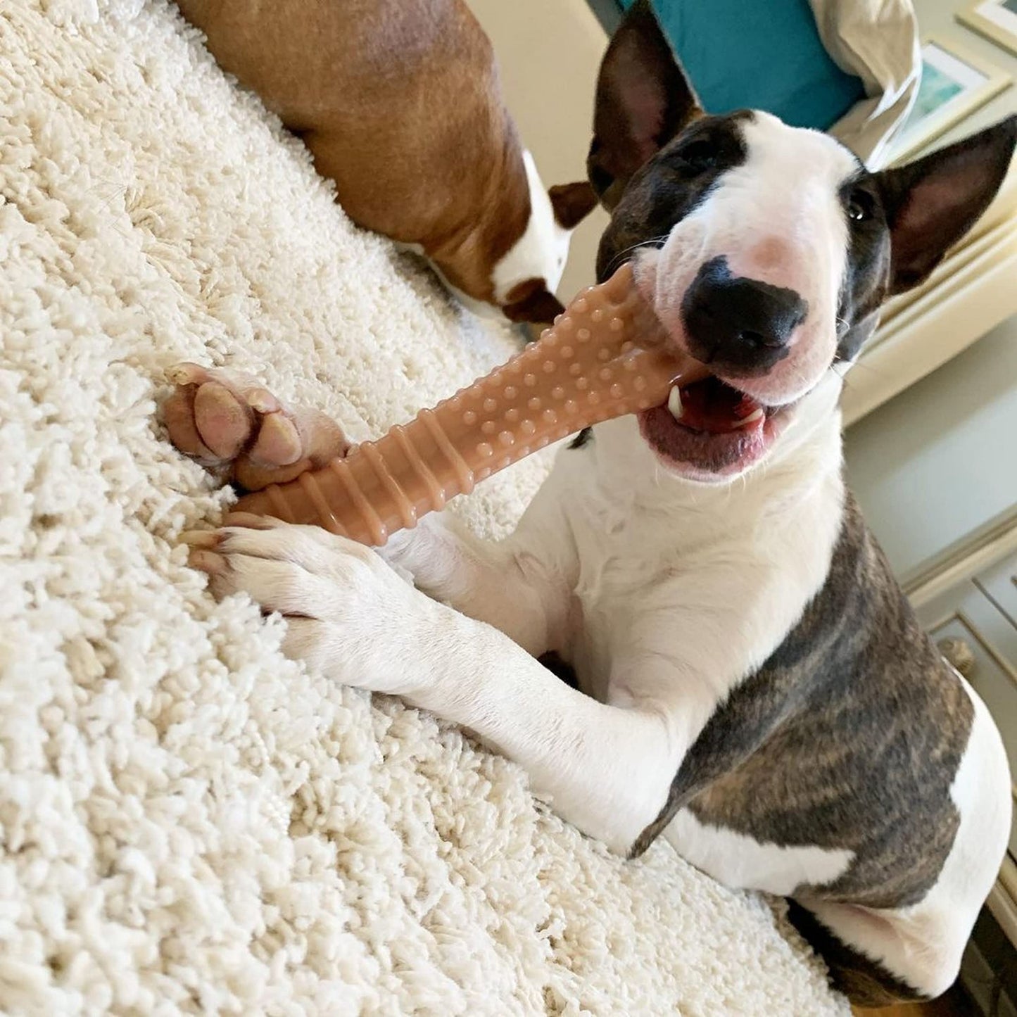 Masticador de Perro Nylabone Marrón con Textura Extragrande