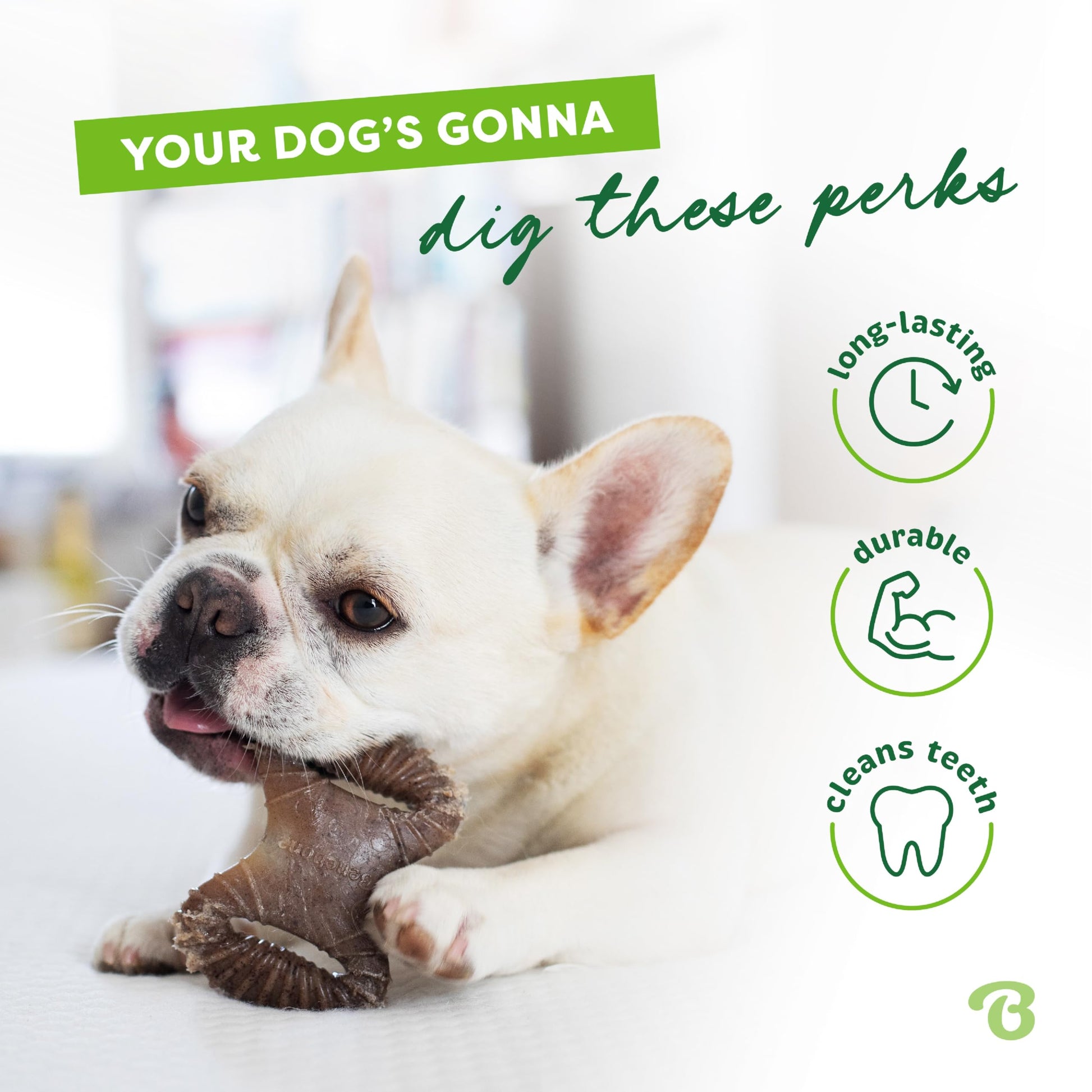 Benebone Tiny 2-Pack Dog Chew Toys, Made in USA, Real Bacon Flavor, Small