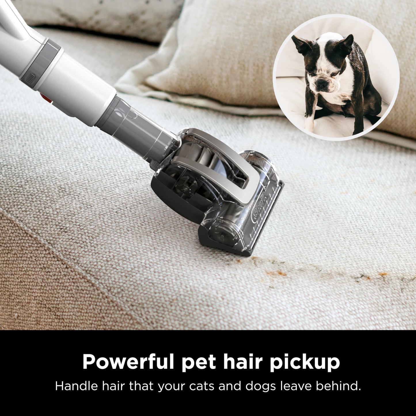 Aspiradora Vertical Shark Navigator Lift-Away Blanco Plateado con Cepillo para Mascotas y Herramienta para Hendiduras Profesional