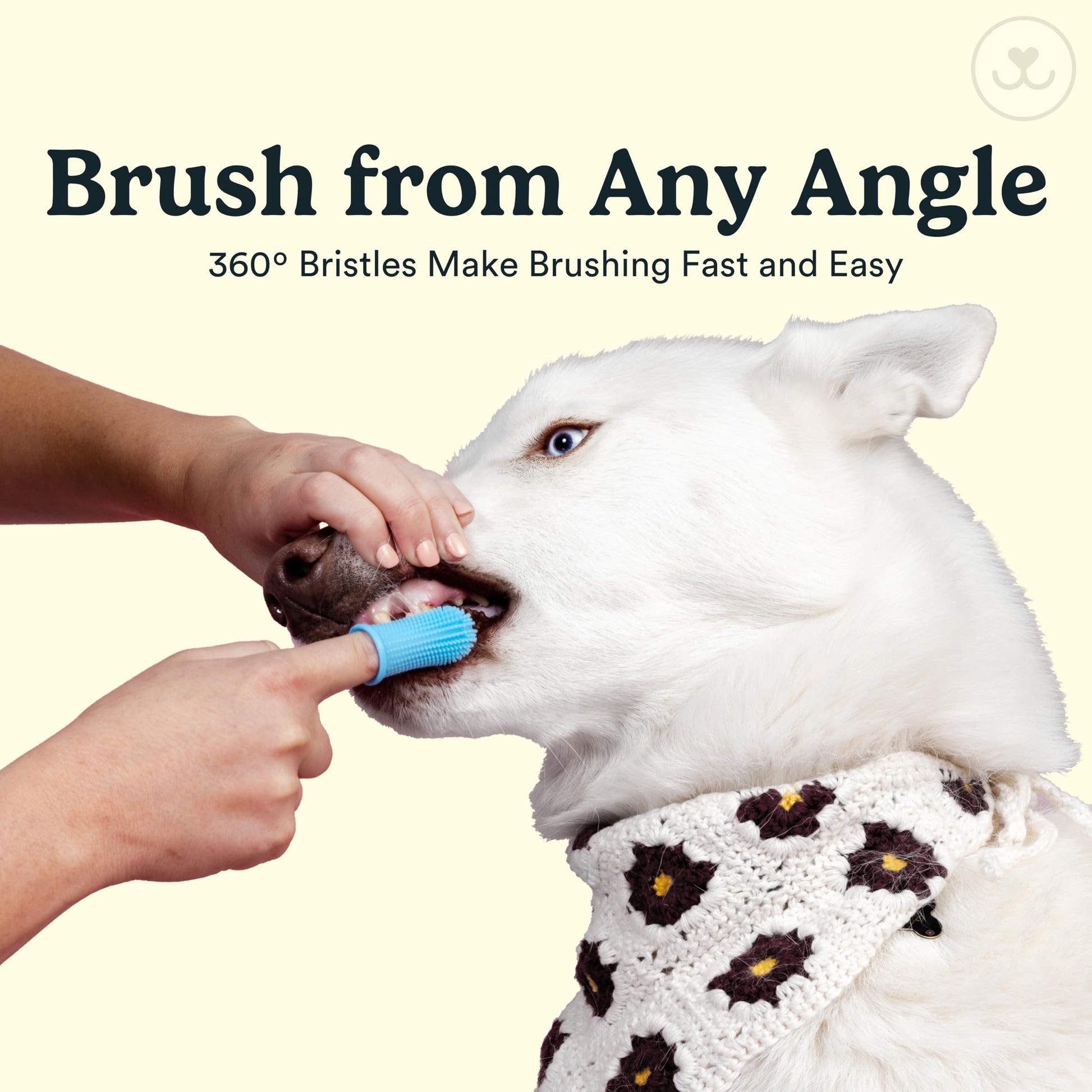Cepillo de dientes de perro Barkley's 360º – Diseño ergonómico – Cerdas envolventes completas para una fácil limpieza – Juego de 2 unidades, transparente