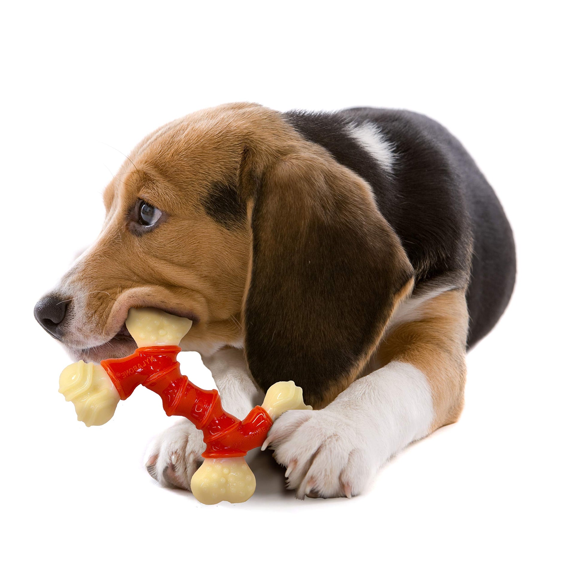 Juguete de Perro Nylabone Naranja y Blanco sabor Tocino