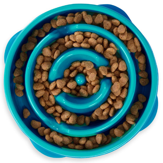 Plato de Comida Lenta Outward Hound Turquesa Mediano para Perros