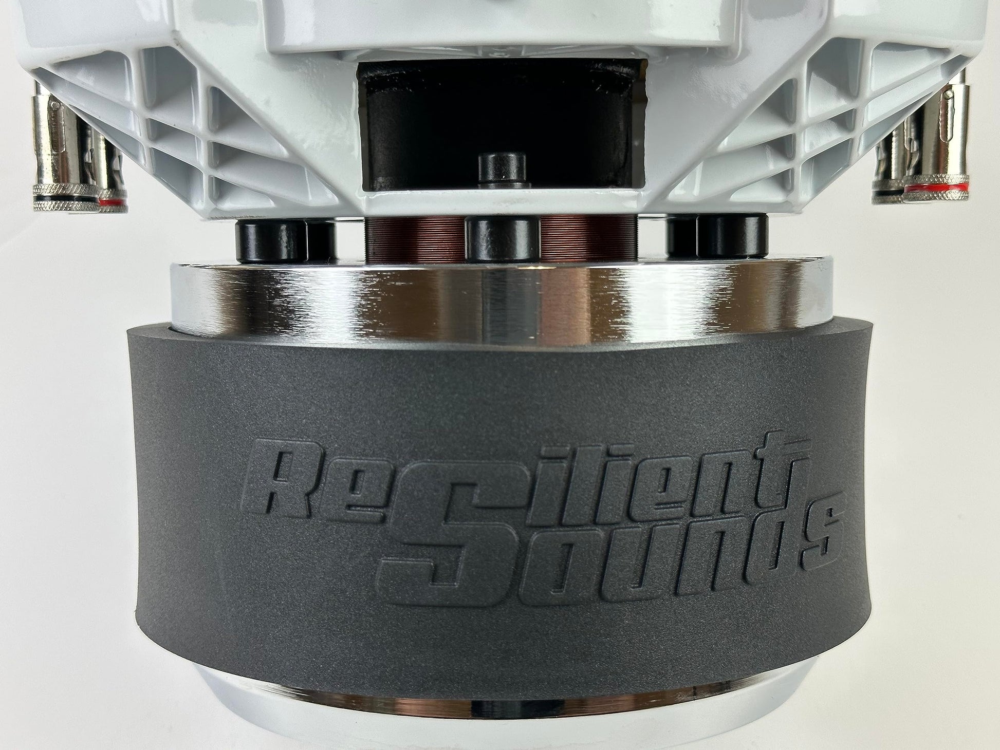 Resilient Sounds Gold 10" SUBWOOFER D4 1000RMS (2000WATTS)