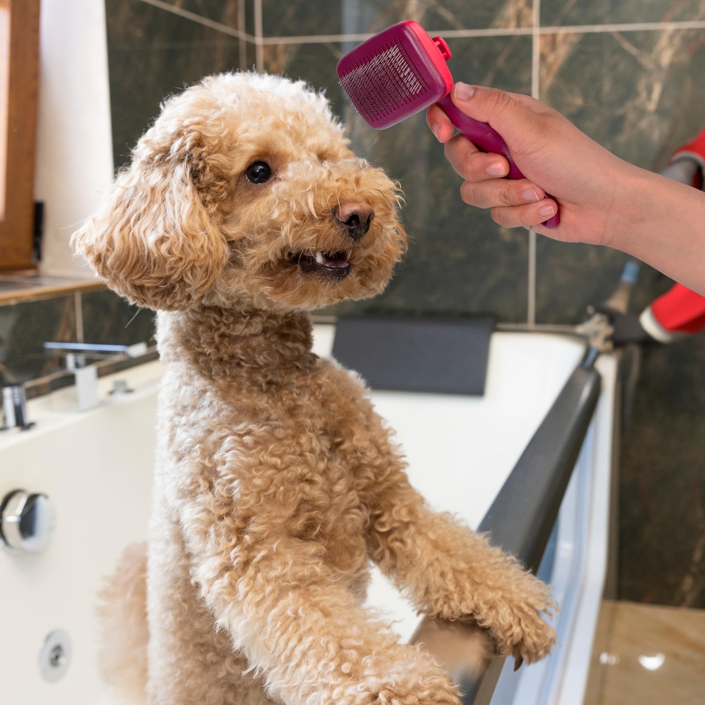 Fancy Pets Carda Cepillo con Botón de Autolimpieza para Perros y Gatos Tamaño Chico
