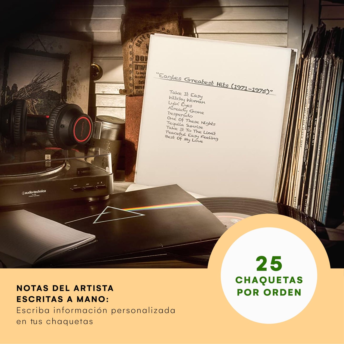 TunePhonik Funda Antiestática para Vinilos - CD - Protección LP