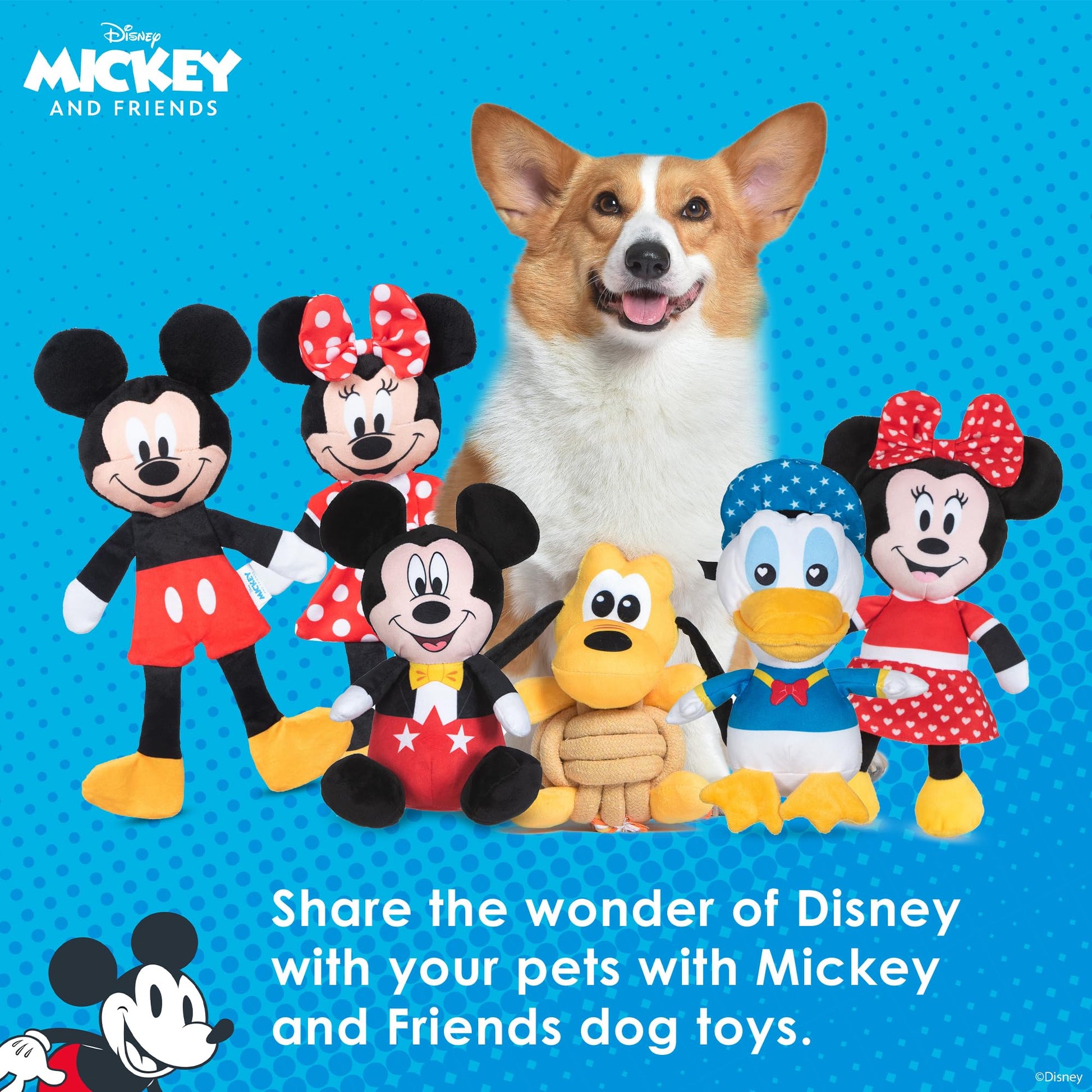Disney for Pets Minnie Mouse - Peluche chirriante con Flattie Arrugado Cuerpo Perro Juguete de 12 Pulgadas | Juguetes para Perros Disney | Juguete chirriante de Felpa para Perros Inspirado en Minnie
