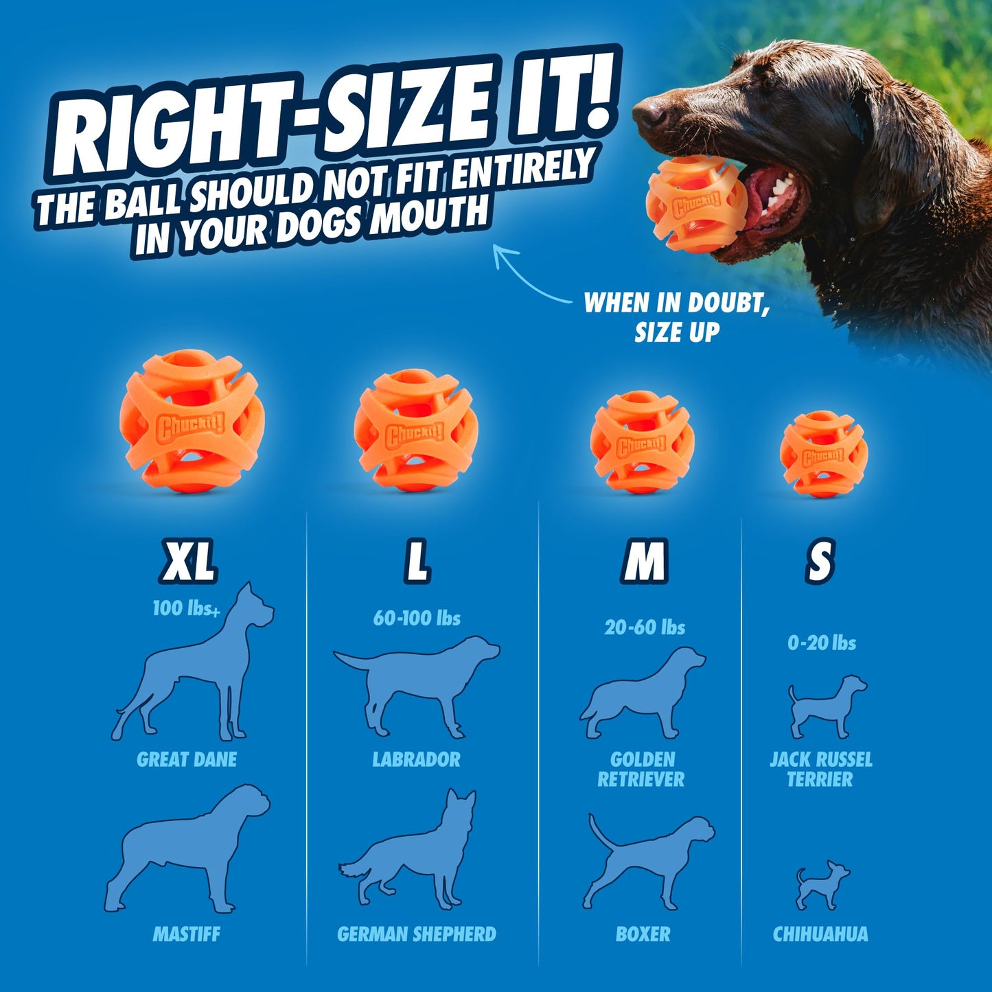 CHUCKIT! Large Durable Breathe Right Dog Ball