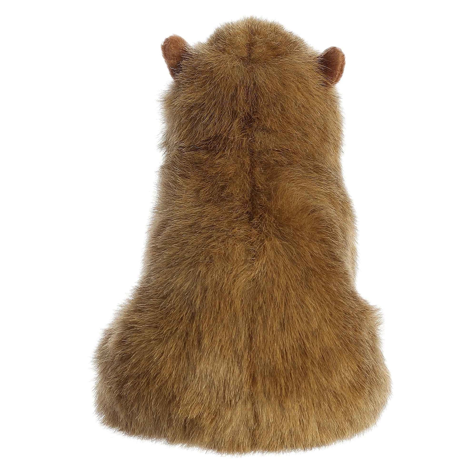 Capibara Aurora Miyoni 22.86cm