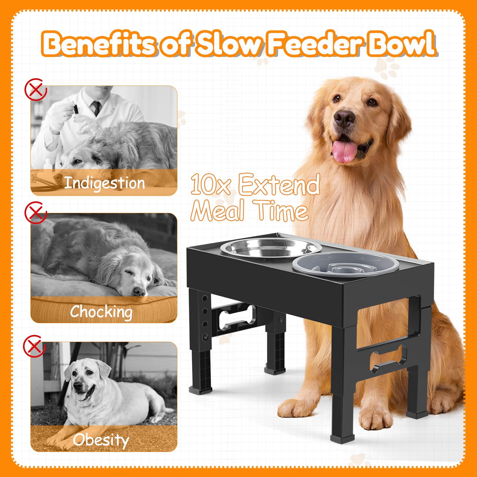 LAKIPETN Cuencos elevados para perros con alimentador lento y 2 cuencos de acero inoxidable, soporte elevado ajustable de 5 alturas, comedero antideslizante para perros que se ajusta a