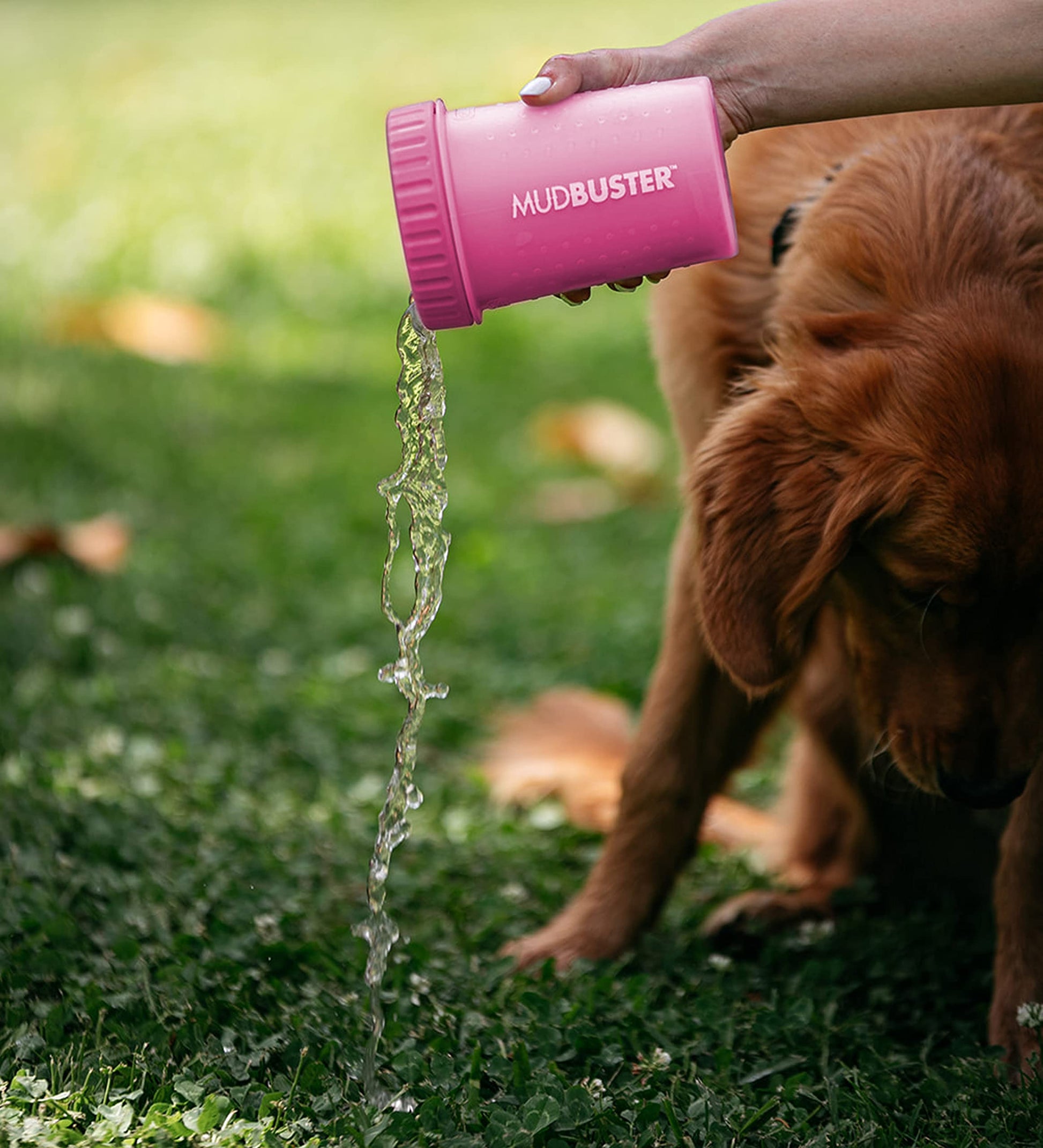 Dexas MudBuster Limpiador portátil para patas de perro, Rosado, Mediano