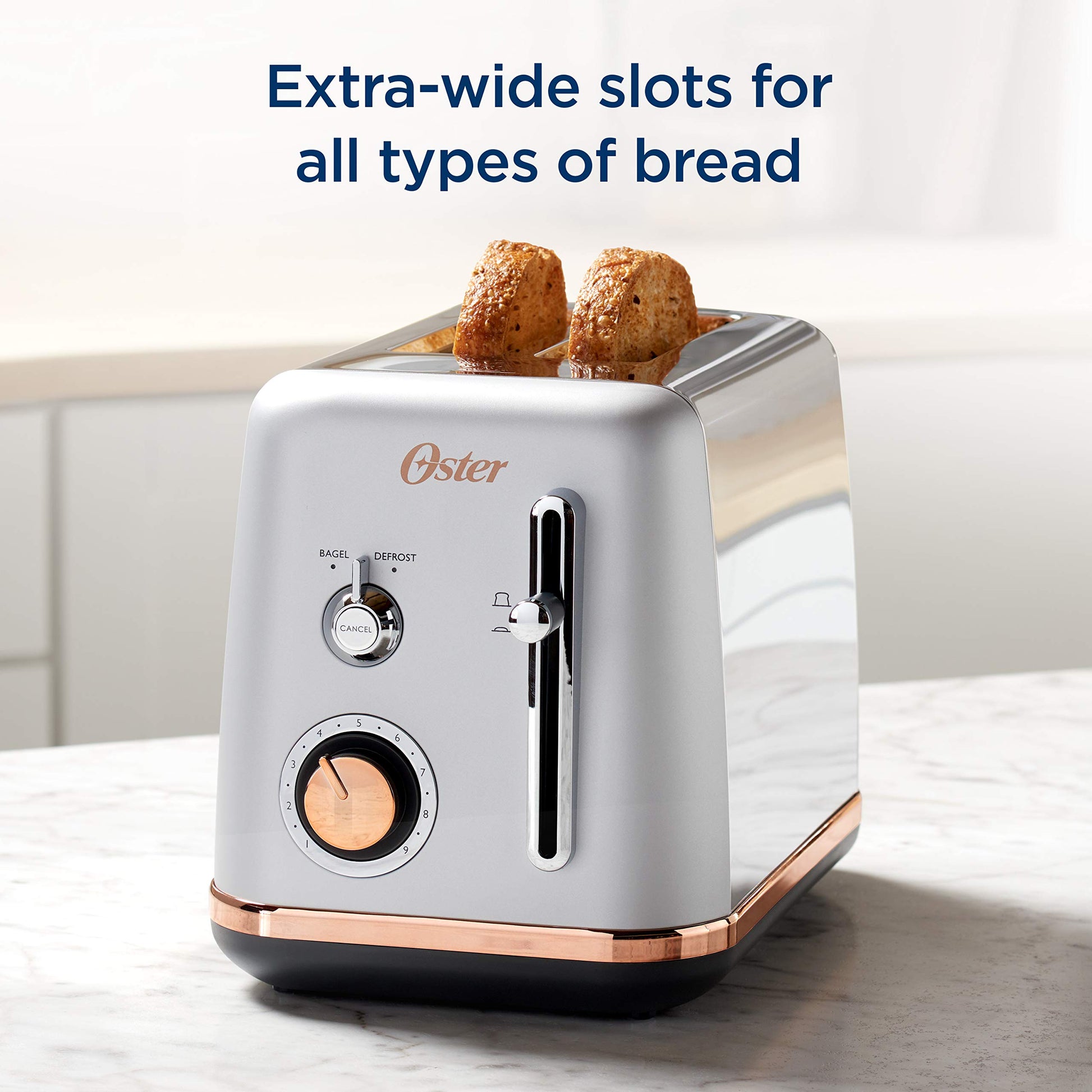 Oster 2097682 2 Slice Toaster Metropolitan Collection with Rose Gold Accents