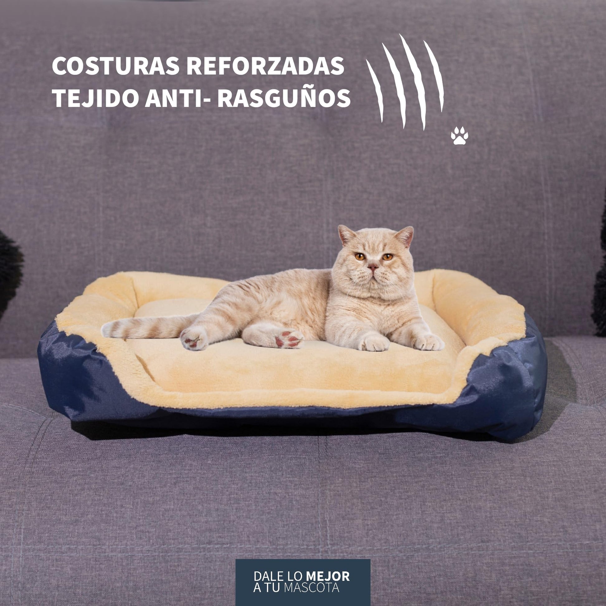 Camita Redonda Resistente PET TO BED Base Estable Micofibra Lavable para Mascotas