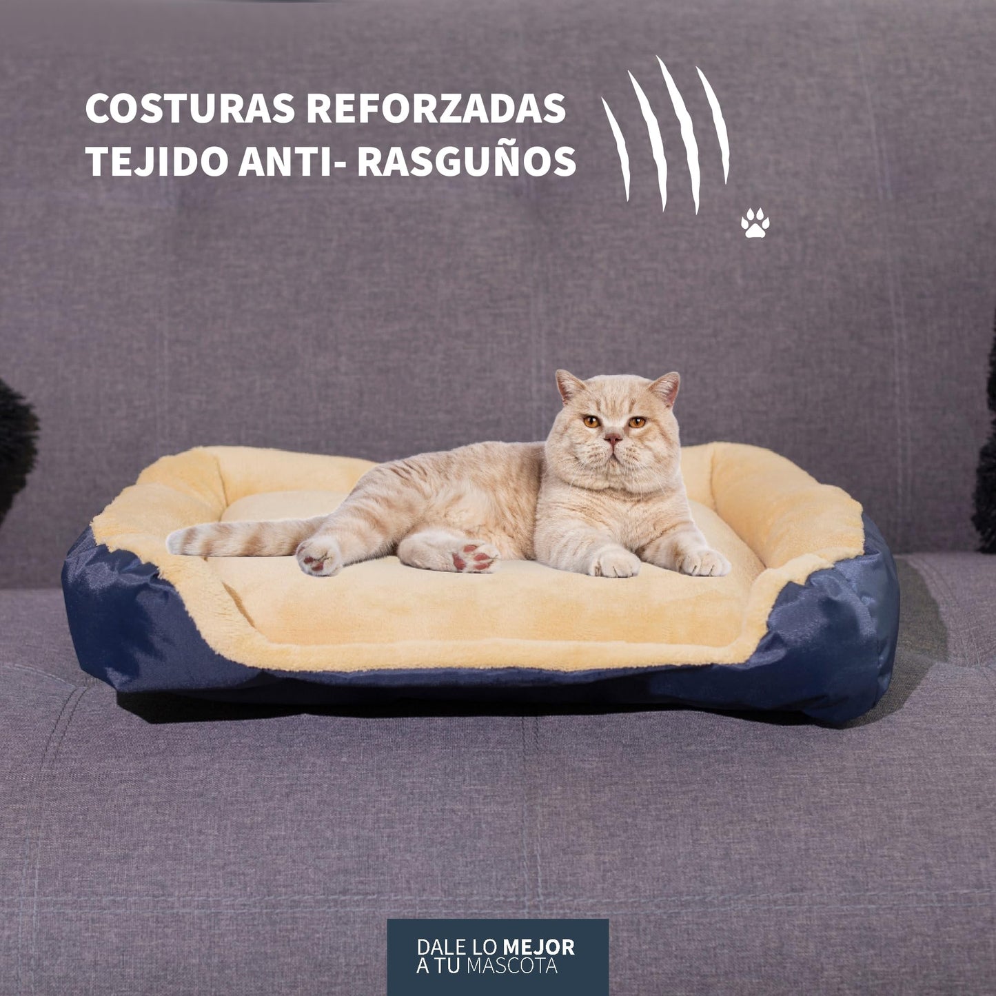 Camita Redonda PET TO BED Resistente Blanca Base Estable Lavable Anti Estrés para Mascotas
