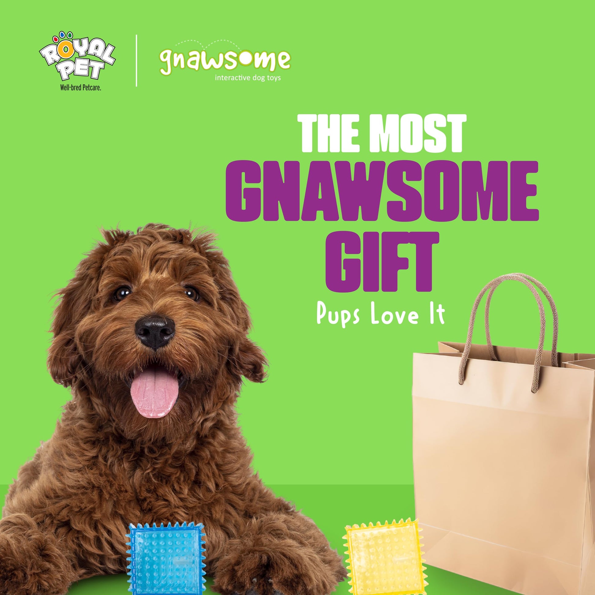 Gnawsome Juguete para Perro Spiky Squeaker Cube – Promueve la Salud Dental y de Las encías para tu Mascota, los Colores variarán, número de Modelo: 10113