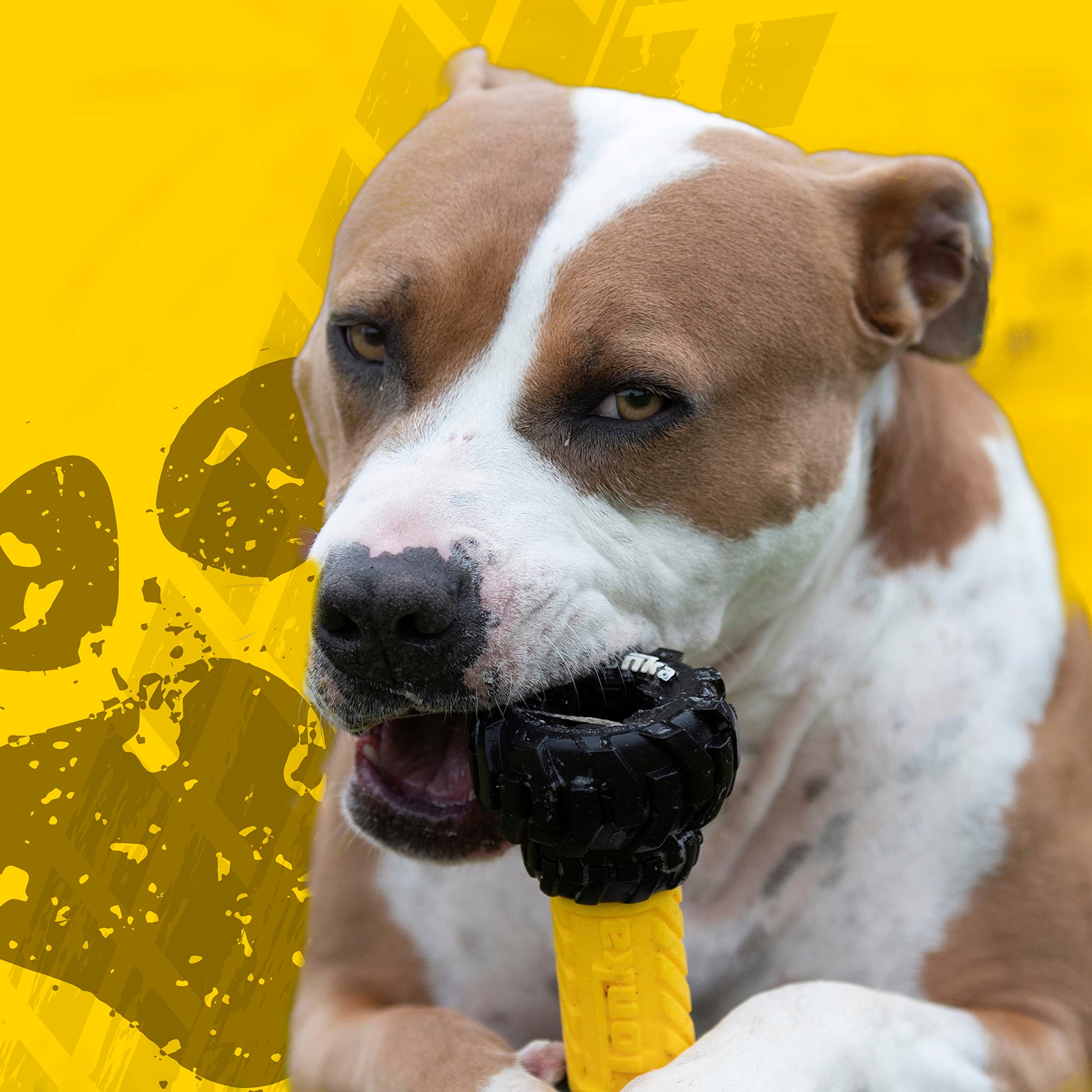 Juguete para Perros Tonka Amarillo Negro con Alimentador Interactivo para Razas Medianas y Grandes