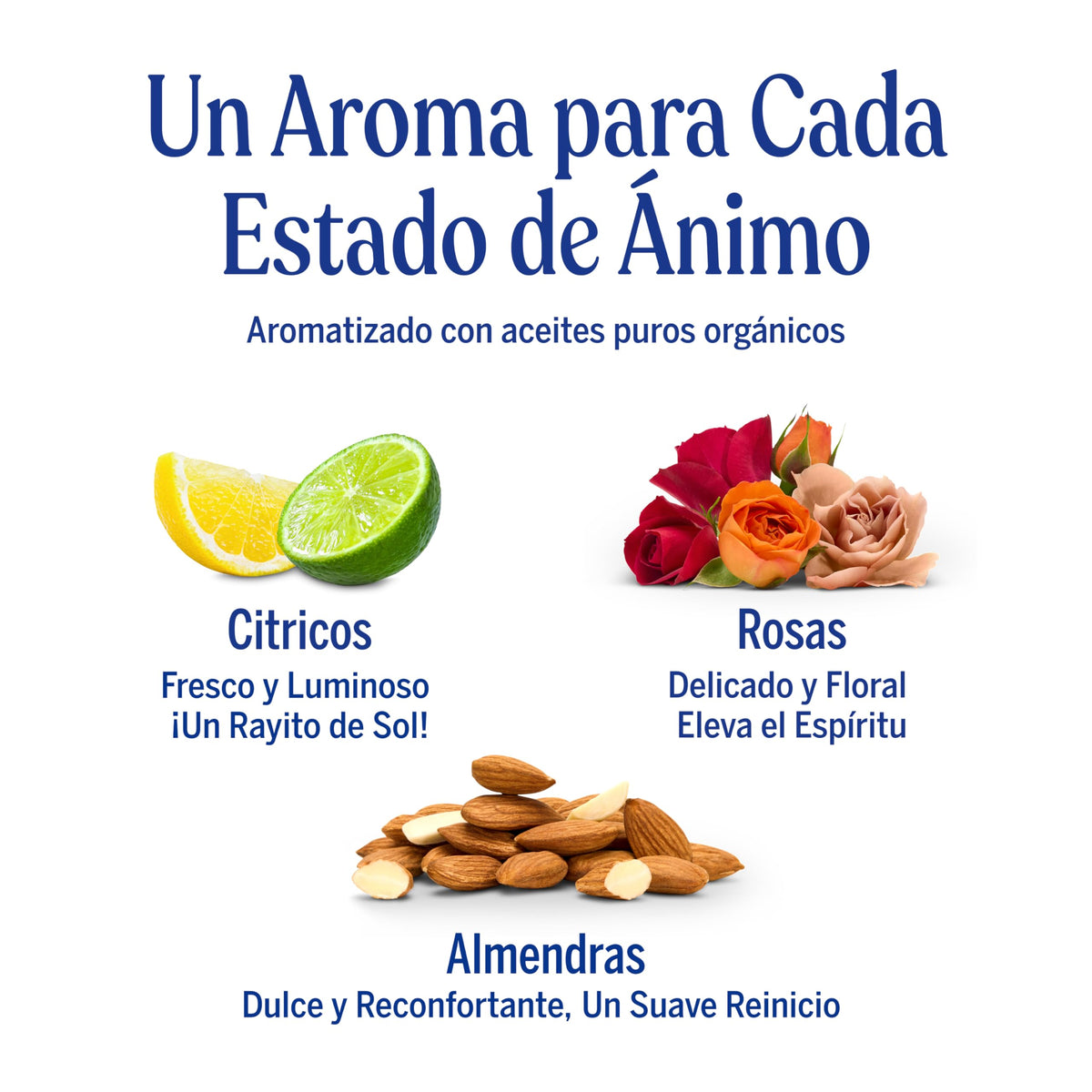 Dr. Bronner's | Jabón de castilla orgánico en barra, fórmula concentrada, purificación natural y efecto antiséptico, con aceite esencial de Árbol de Té, aroma Árbol de Té (3 pack)