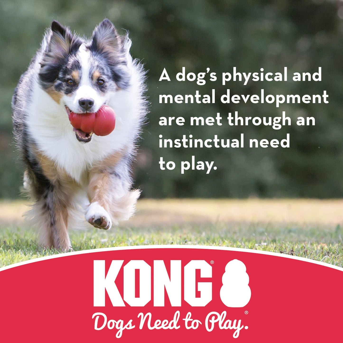 KONG, Rojo Bola, Mediano/Grande