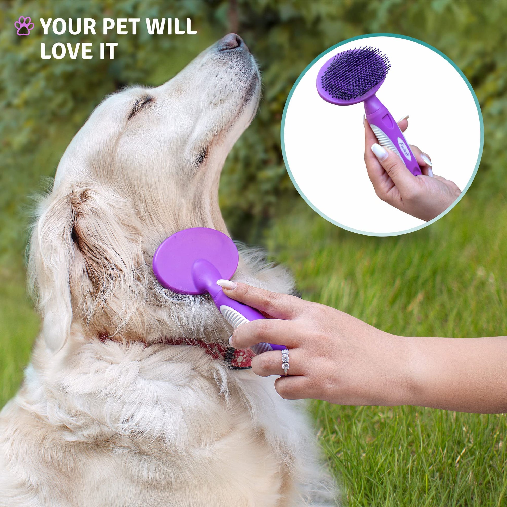 Cepillo de cerdas redondas para perros y gatos, cuidado suave para pelo corto o largo, herramienta suave para pieles sensibles elimina la caspa, la suciedad y desenreda – morado