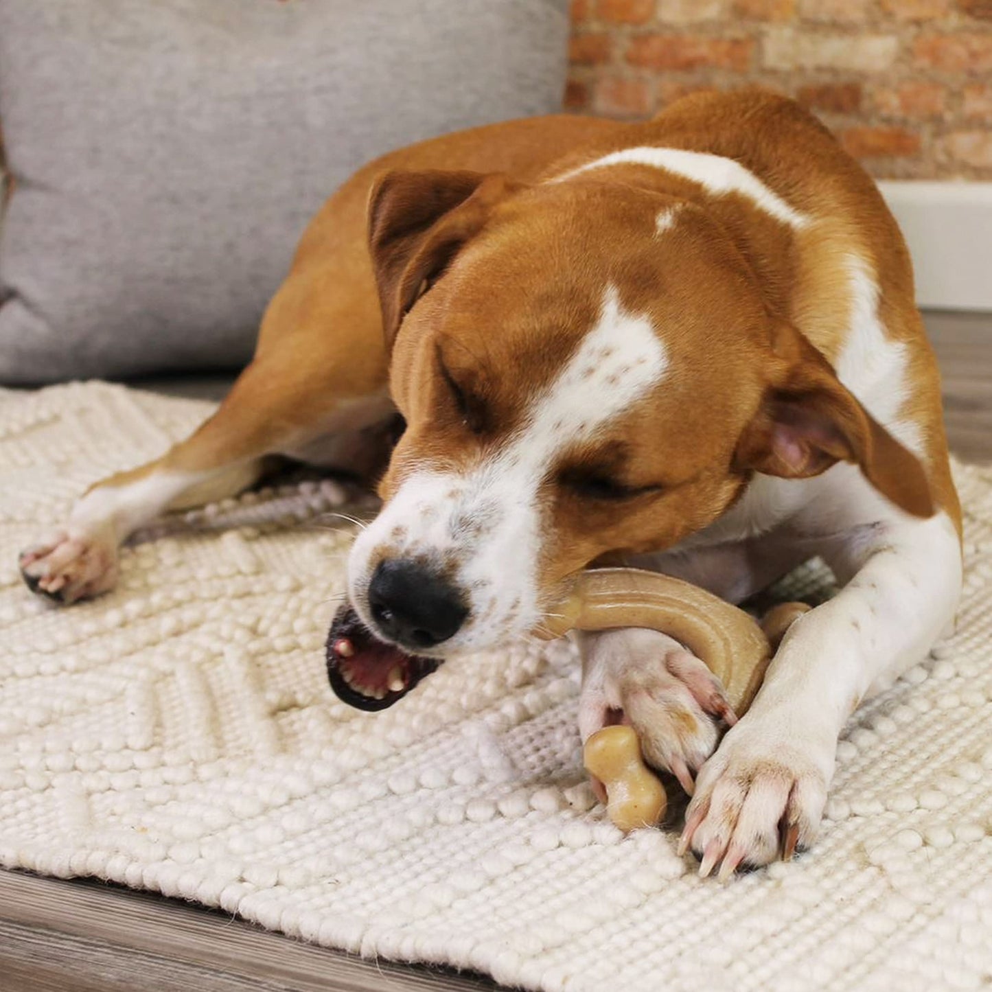 Juguete para Perro Nylabone Hueso de Horquilla Gourmet Grande/Gigante