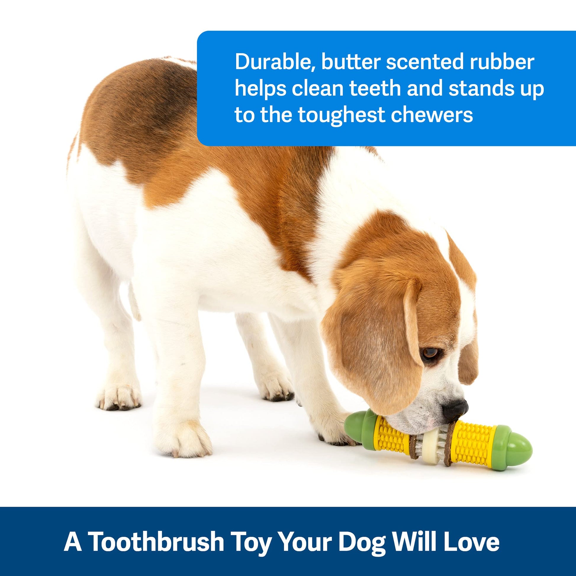 Juguete para Perros PetSafe Busy Buddy Cravin’ Corncob Mantequilla Rompecabezas Interactivo sin BPA