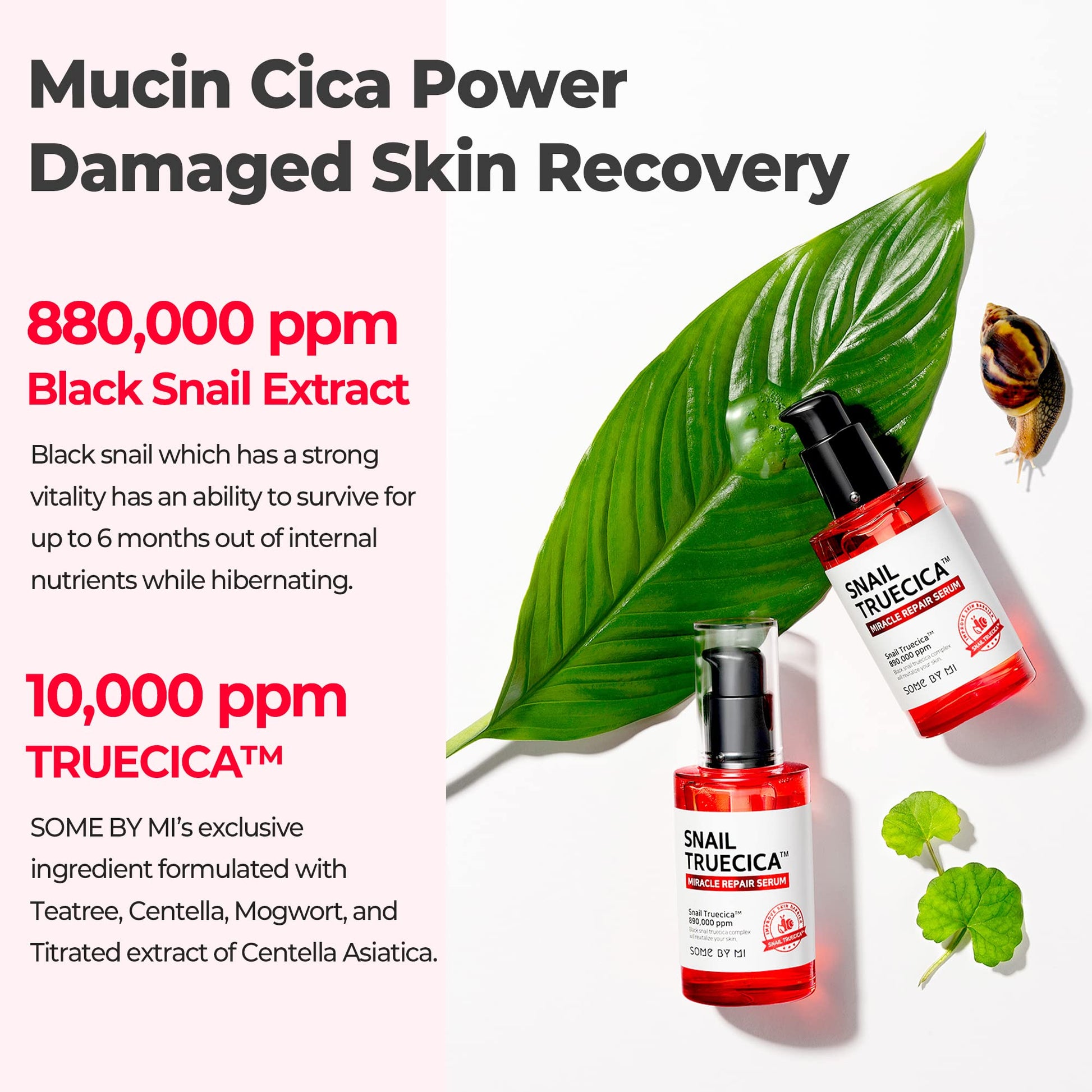 Somebymi Snail Truecica Miracle Repair Serum