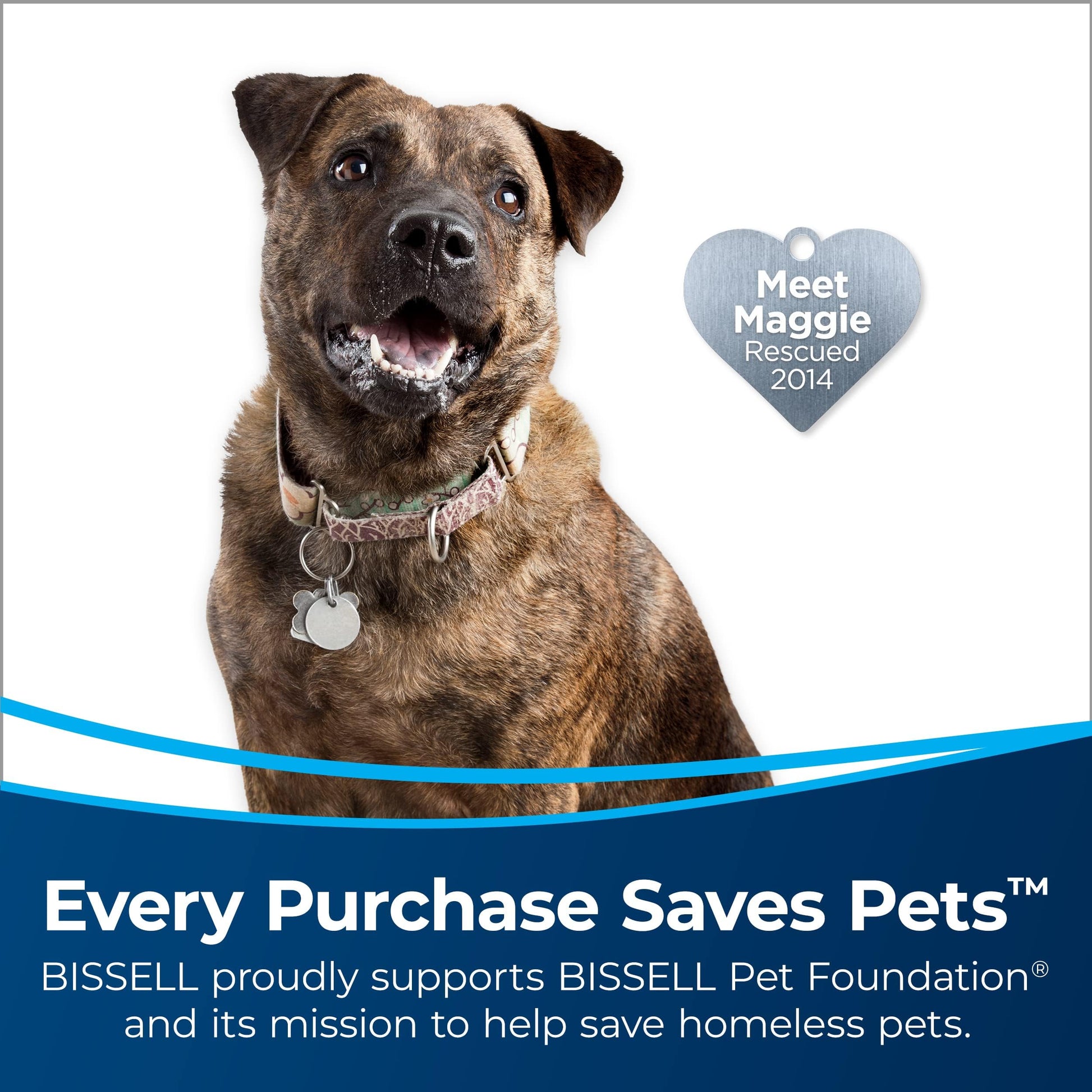 BISSELL 24613 - Aspiradora Ligera Eliminadora de Pelo de Mascotas Turbo Plus, Cepillo Anti-enredos, Potente Recogida de Pelo de Mascotas, Sistema de Alergenos SmartSeal, Especializada para Mascotas