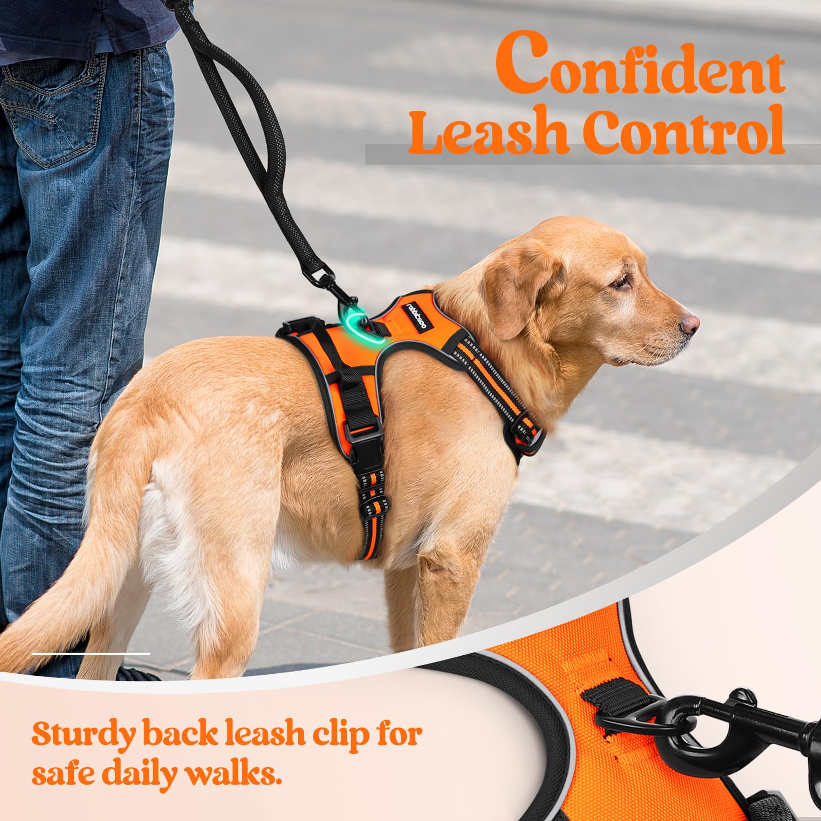 Arnés para Perro Rabbitgoo Naranja con Líneas Reflectantes y Chaleco Acolchado Ajustable para Adiestramiento y Correr Tamaño Mediano