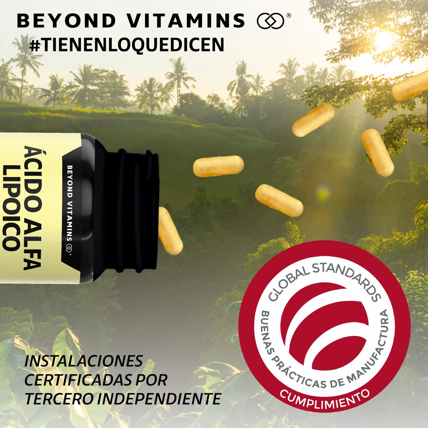 Beyond Vitamins | Ácido Alfa Lipóico (ALA) 600mg por cápsula, potenciado con Cúrcuma | Alpha Lipoic Acid de 1 sóla cápsula al día | 2 meses | Cápsulas Veganas, apto para todas las dietas