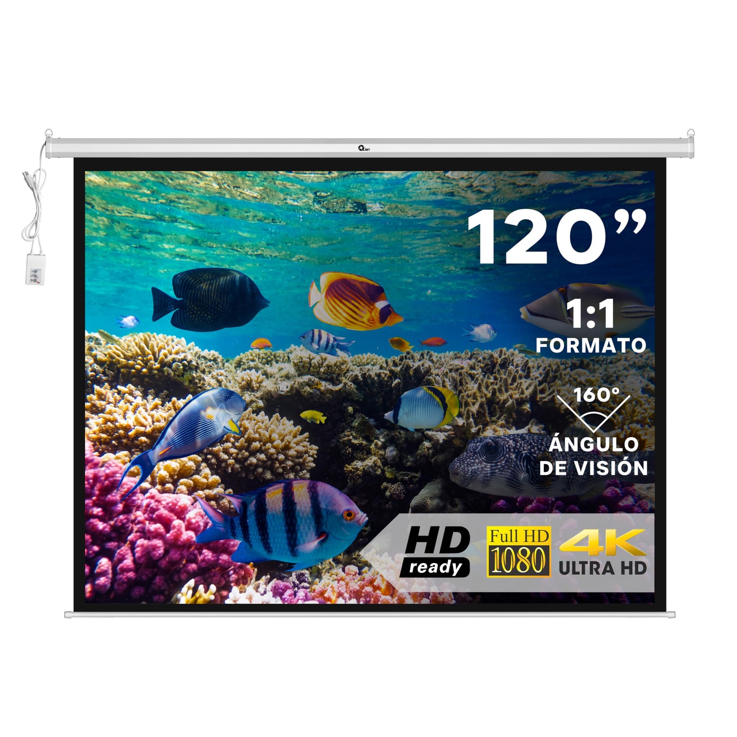 QIAN Pantalla de Proyección 120' PVC eléctrica Color Blanca Mate - Montaje en Pared y Techo, con Control Remoto, para Oficina,Escuela, Negocio.