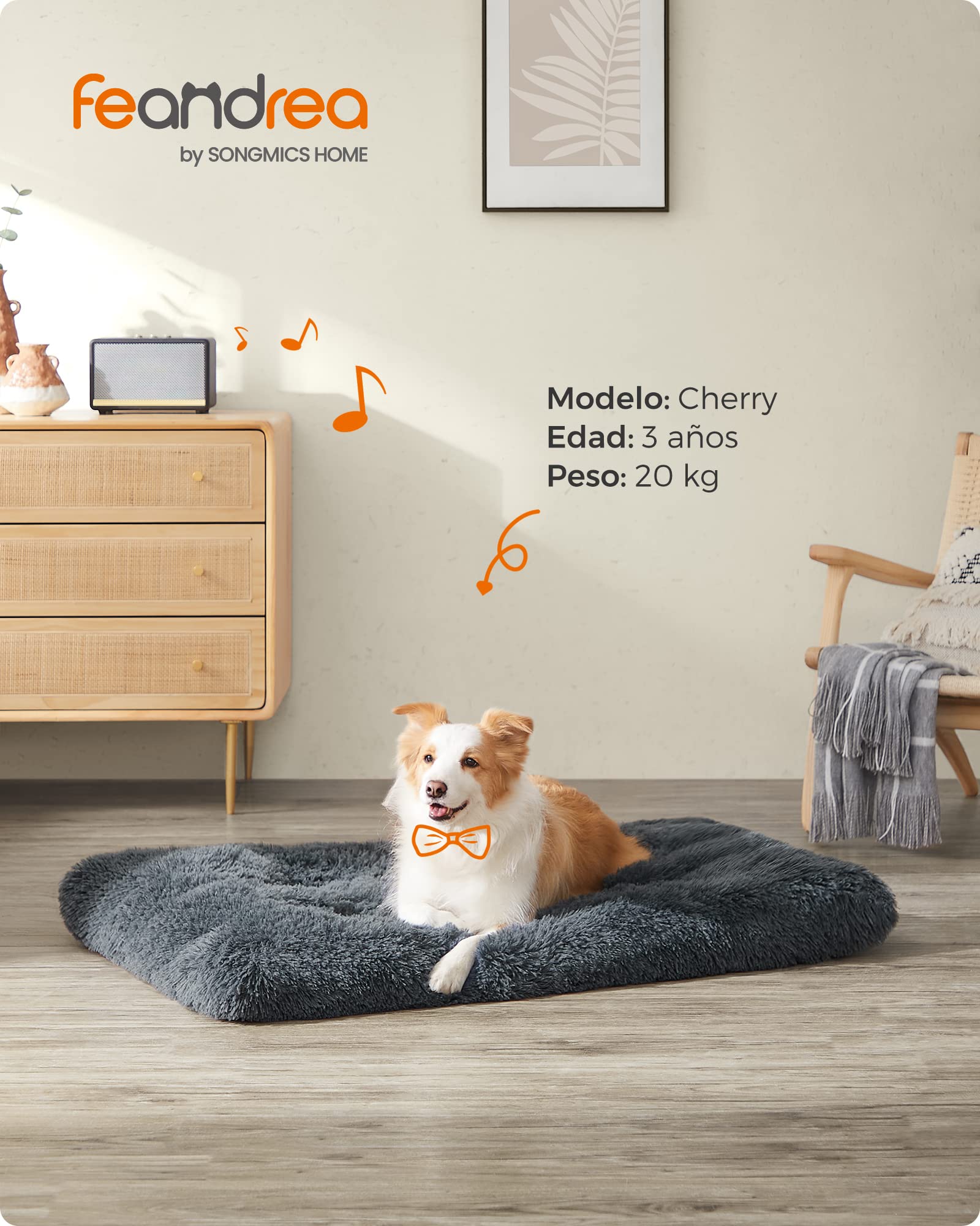 Feandrea Cama para Perros, Sofá para Mascotas, 110 x 73 cm, Lavable a Máquina, con Cojín, Gris Oscuro MPGW203G02