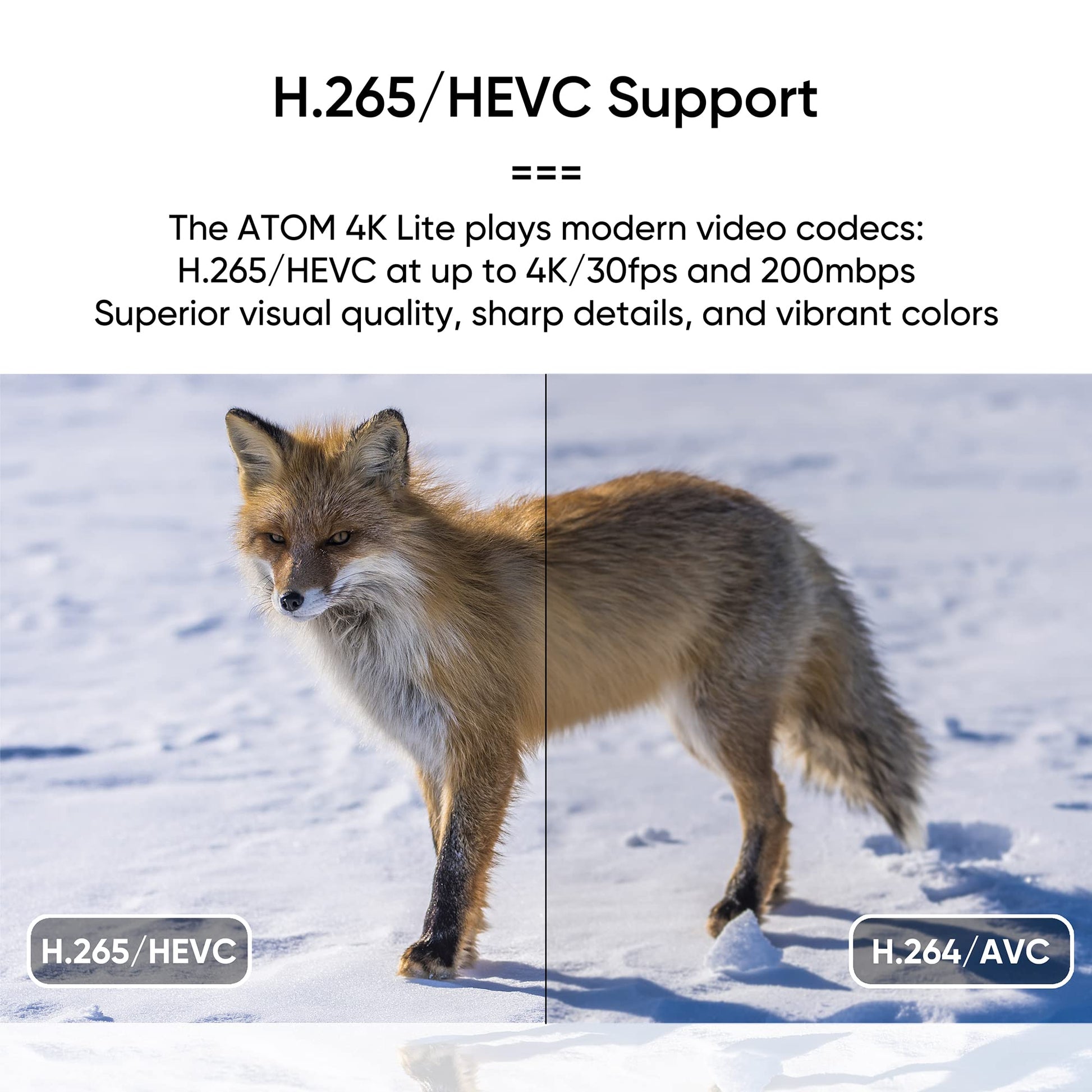 NEUMI Atom 4K Lite Reproductor multimedia digital Ultra-HD para unidades USB y tarjetas SD, reproduce videos 4K/UHD, HEVC/H.265, HDMI y AV analógico, reproducción automática, bucle, capacidad de