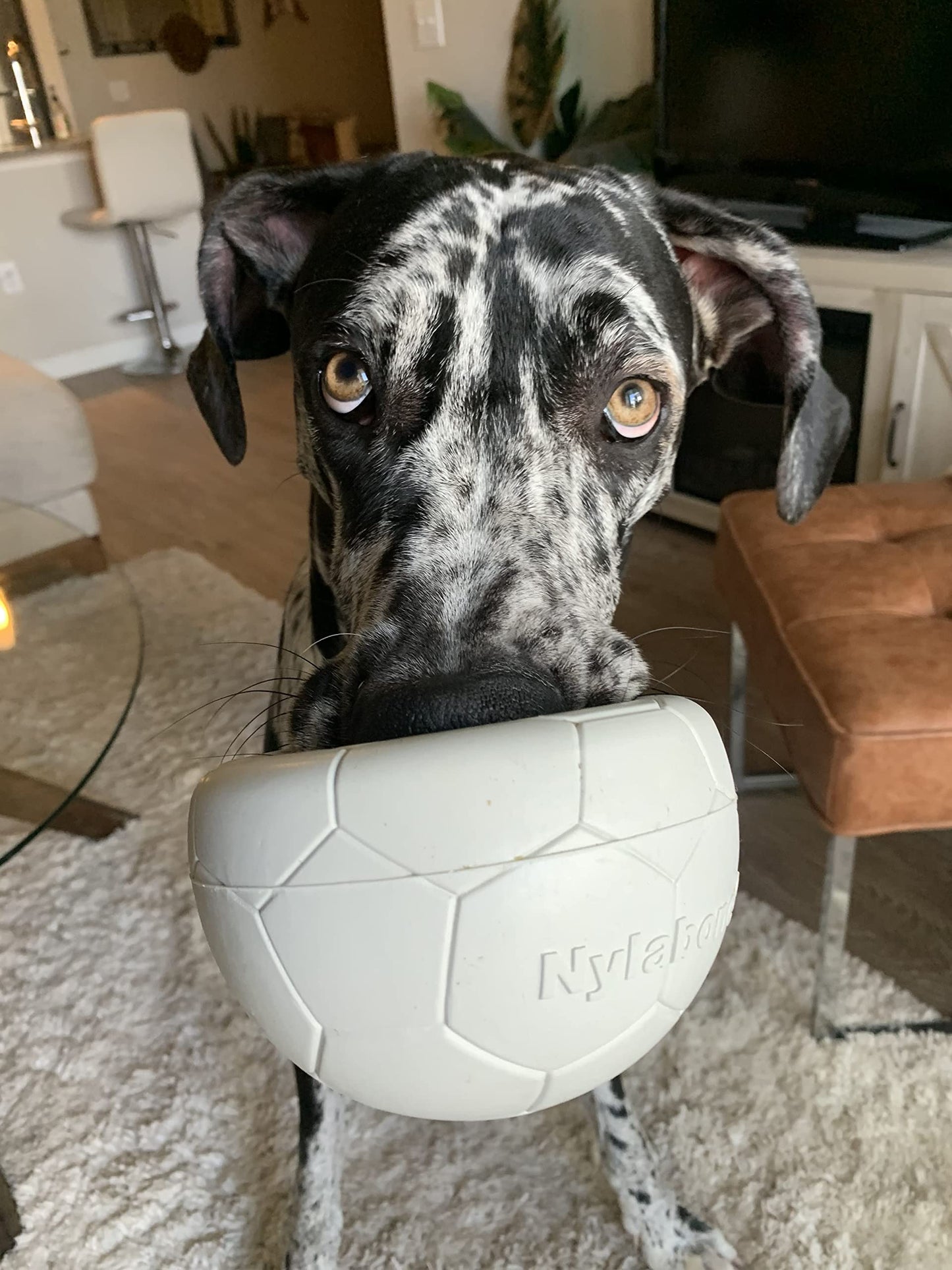 Nylabone Juguete Power Play Soccer Ball