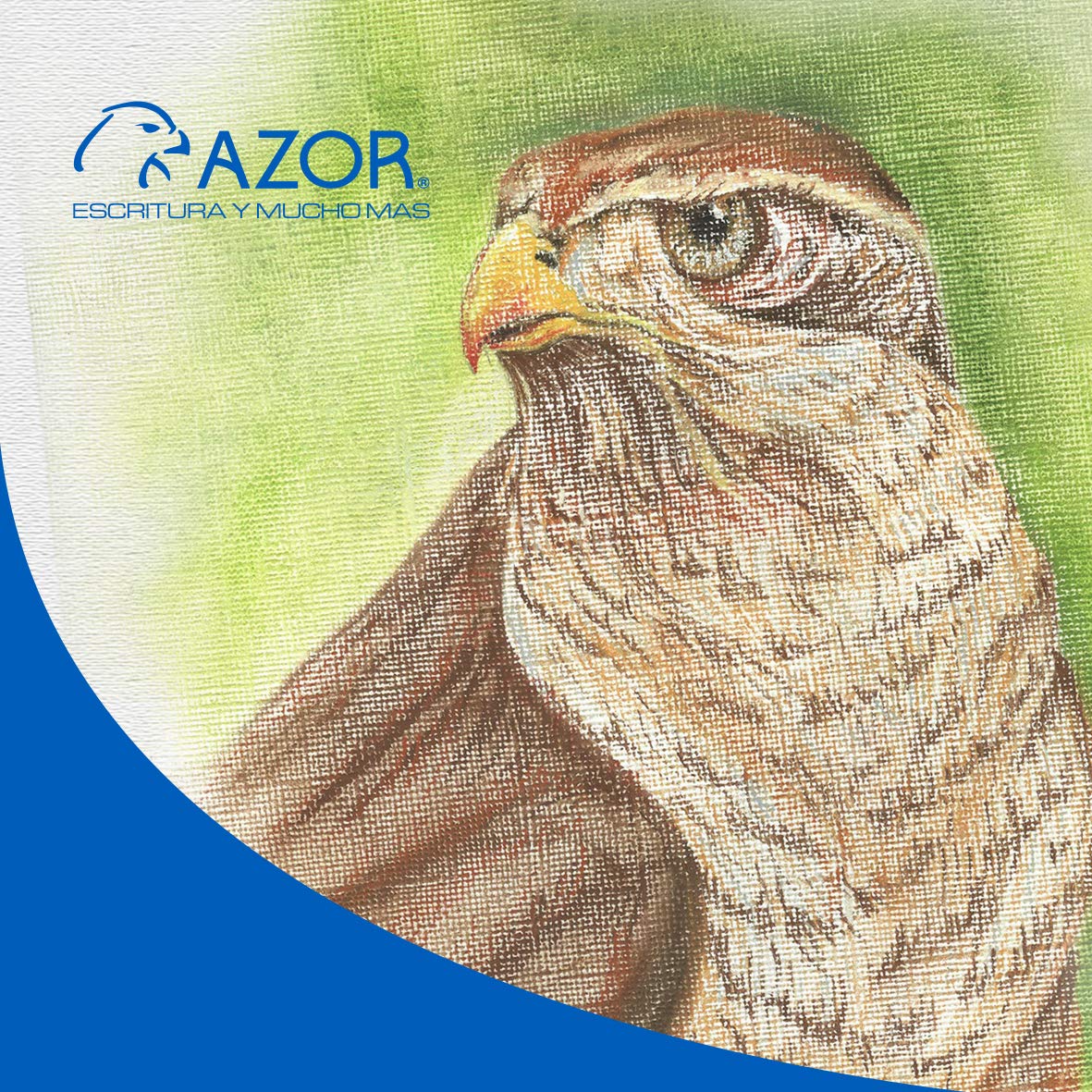 Azor Lápices Pastel 14 Piezas, Pigmentos de Alta Calidad Para Dibujo, Colores Surtidos Stafford 309.DAD700