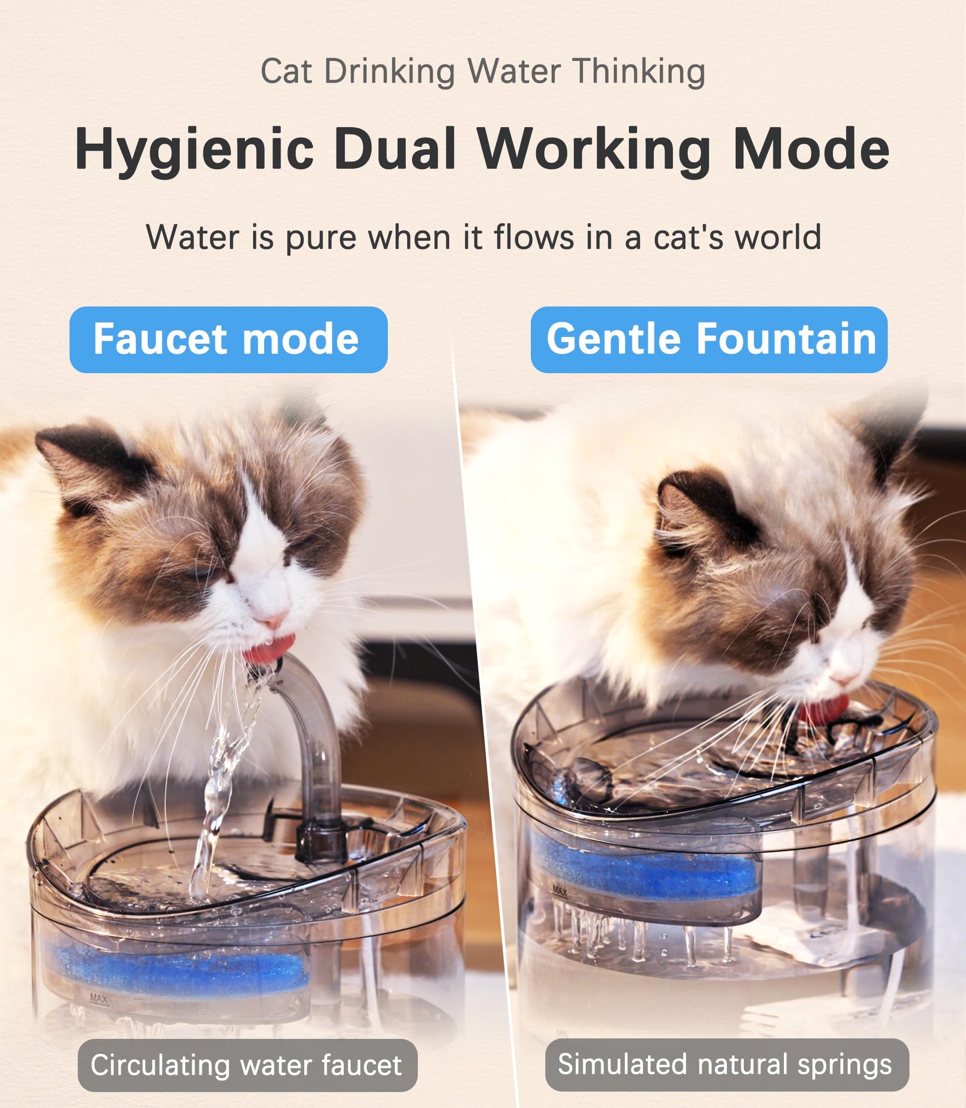 Fuente de agua para gatos HAPUP, dispensador de agua para perros, de 1.8 litros, fuente automática de agua potable transparente para mascotas, mejorada con dos filtros de repuesto, una bomba silenciosa de agua ajustable