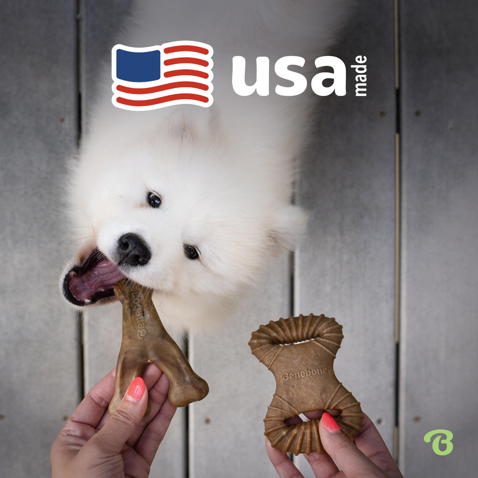 Benebone Tiny 2-Pack Dog Chew Toys, Made in USA, Real Bacon Flavor, Small