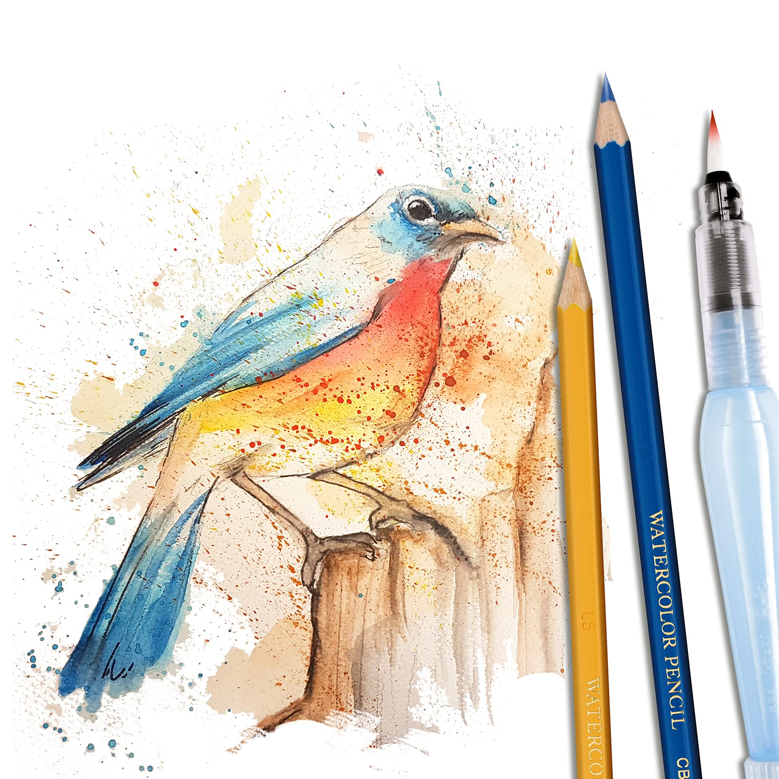 Lapices de Colores Acuareleables 2 en 1 Pentel 12 U-CB9-12-EST