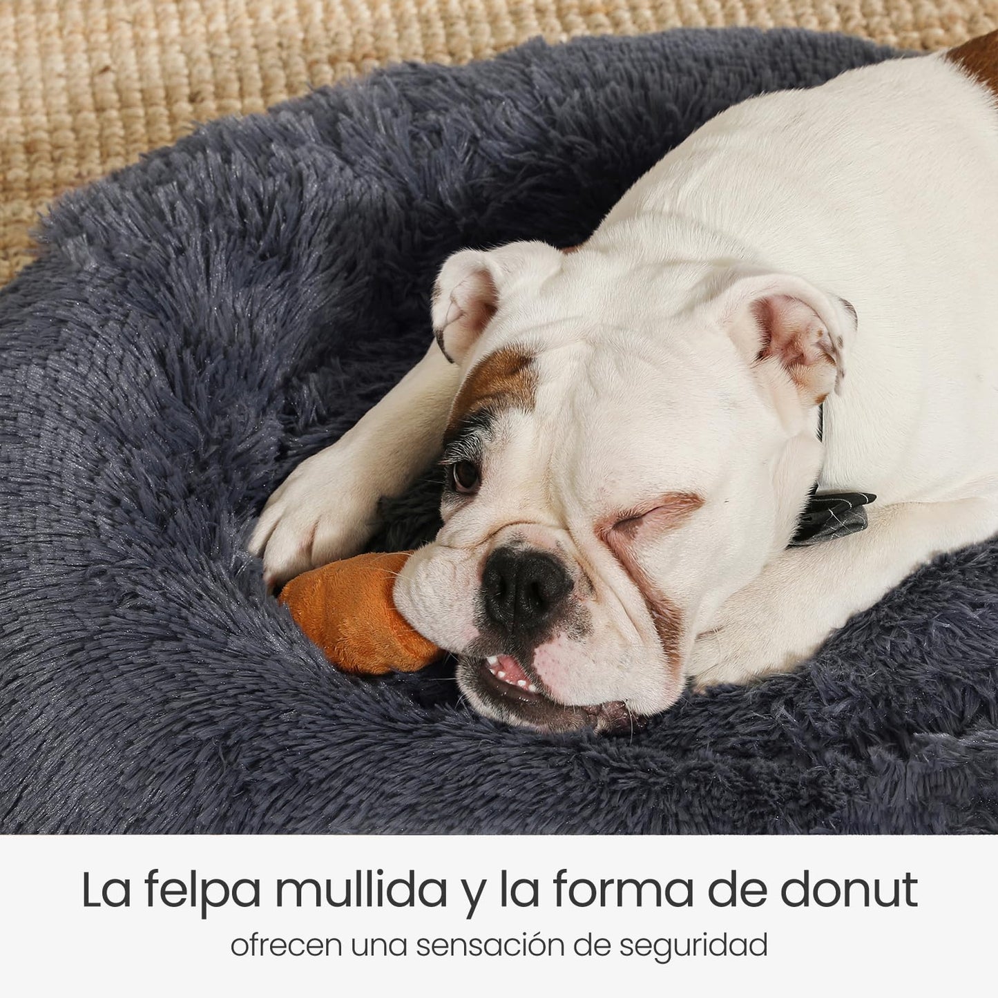 Cama de Perros Feandrea Gris Oscuro con Cojín Central Extraíble y Lavable