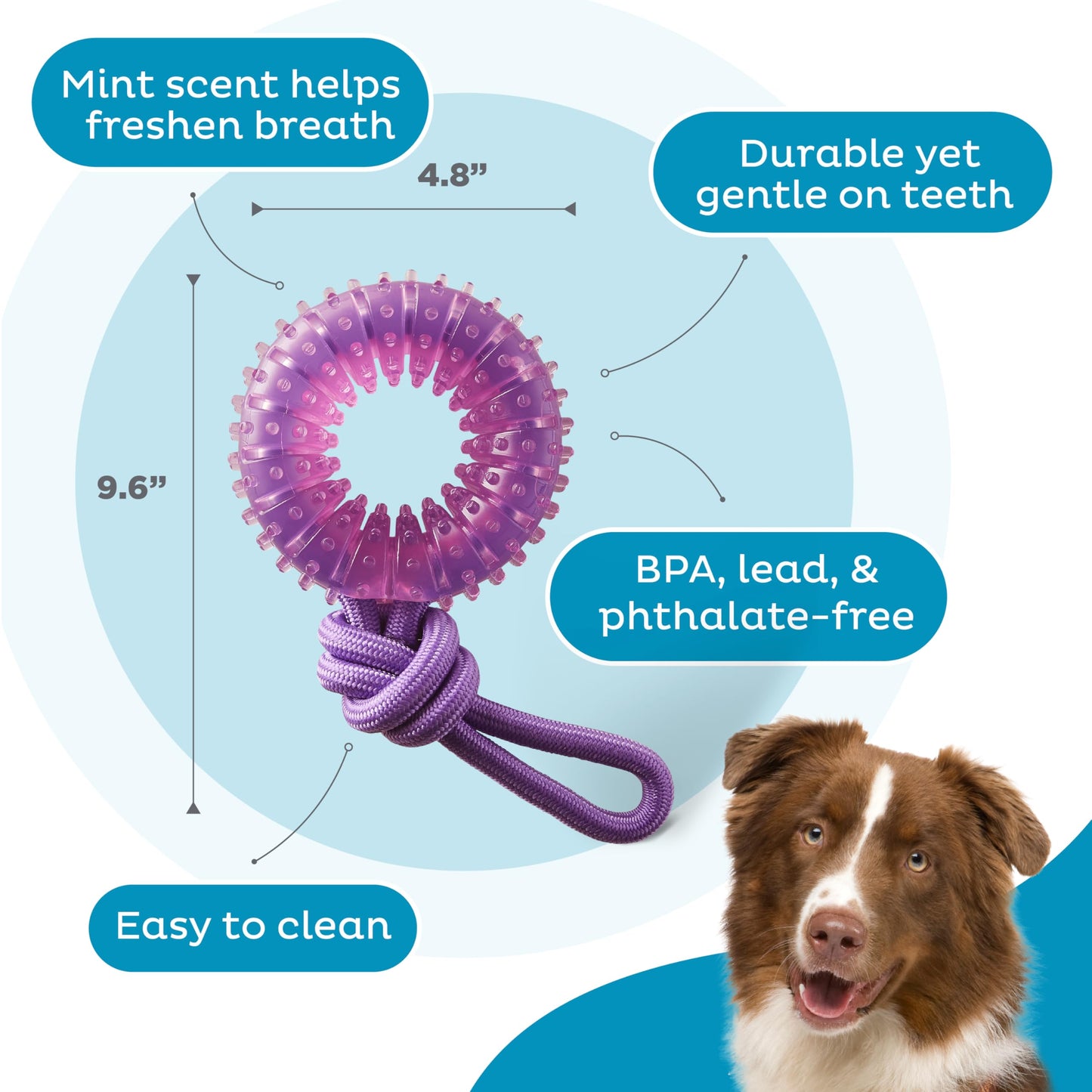 Juguete Dental y Tirador Outward Hound Morado para Perro