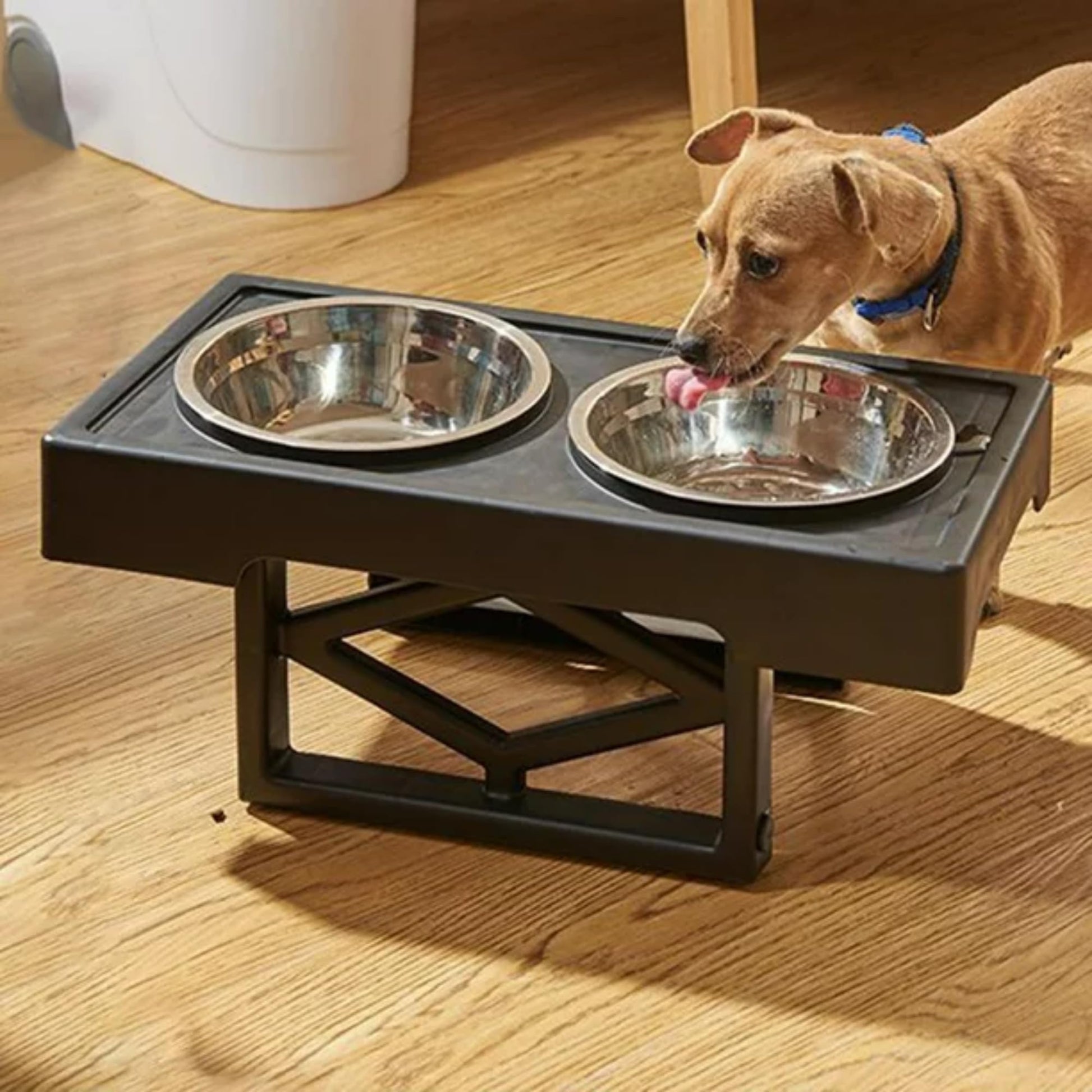 Fastpet Comederos Elevados para Perro y Gato - Comedero para Perro Ajustable Configuraciones, con Plato para Perro de Alimentación Lenta, Tazone Bebedero Acero Inoxidable de 1,6 L y Plato Slow Feed
