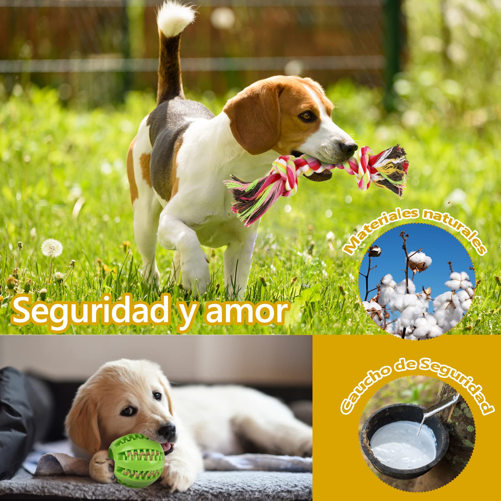 Jasonwell Juguetes para Perro 12 Piezas - Juguete Mordedera para Perro Masticar Cuerda Pelota para Cachorros Juego de Juguetes para Perros Ansiosos Juguete Interactivo para Perros Pequeños Grandes