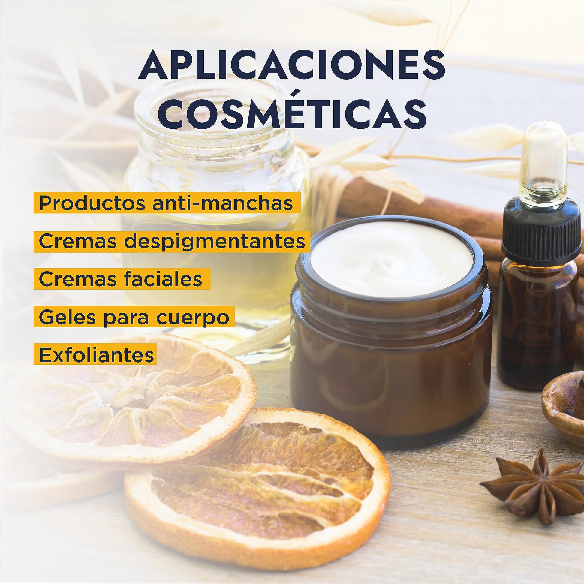 Hebbe | Ácido Cítrico | Reduce el pH, Antioxidante y Quelante | Poros Renovados y Piel Radiante | 1 kg
