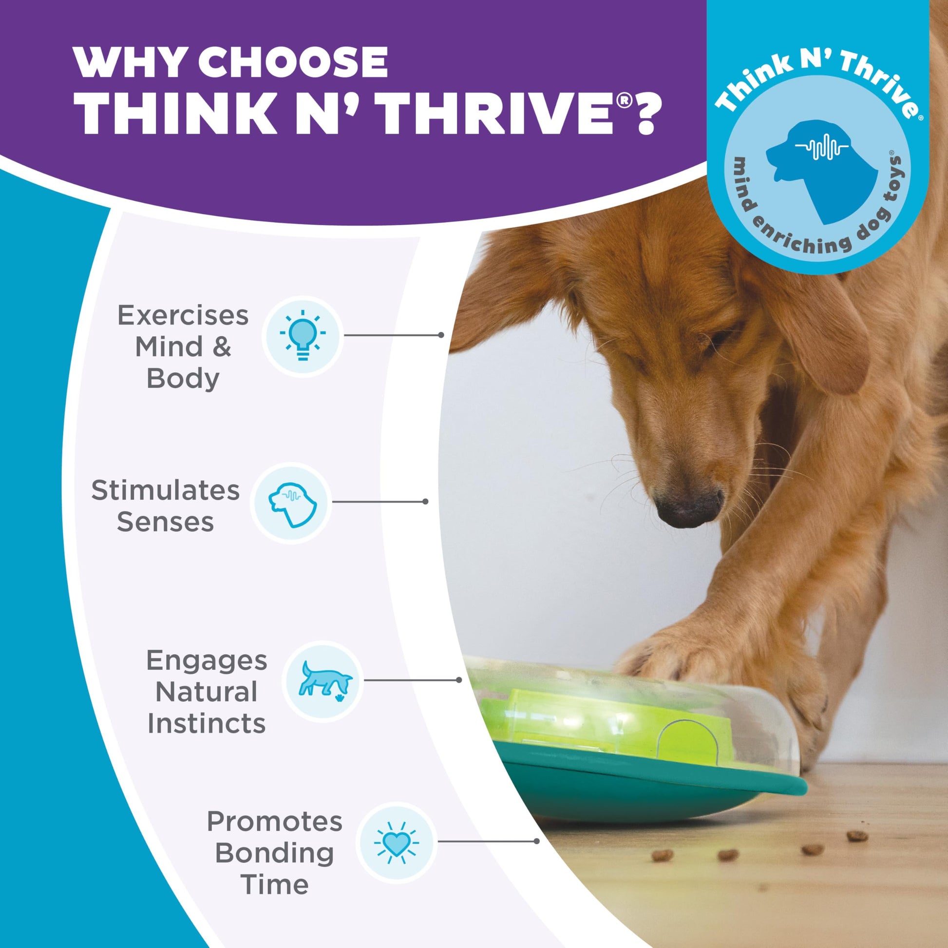 Juego Interactivo Outward Hound Nina Ottosson Wobble Bowl para alimentación Lenta de Perro