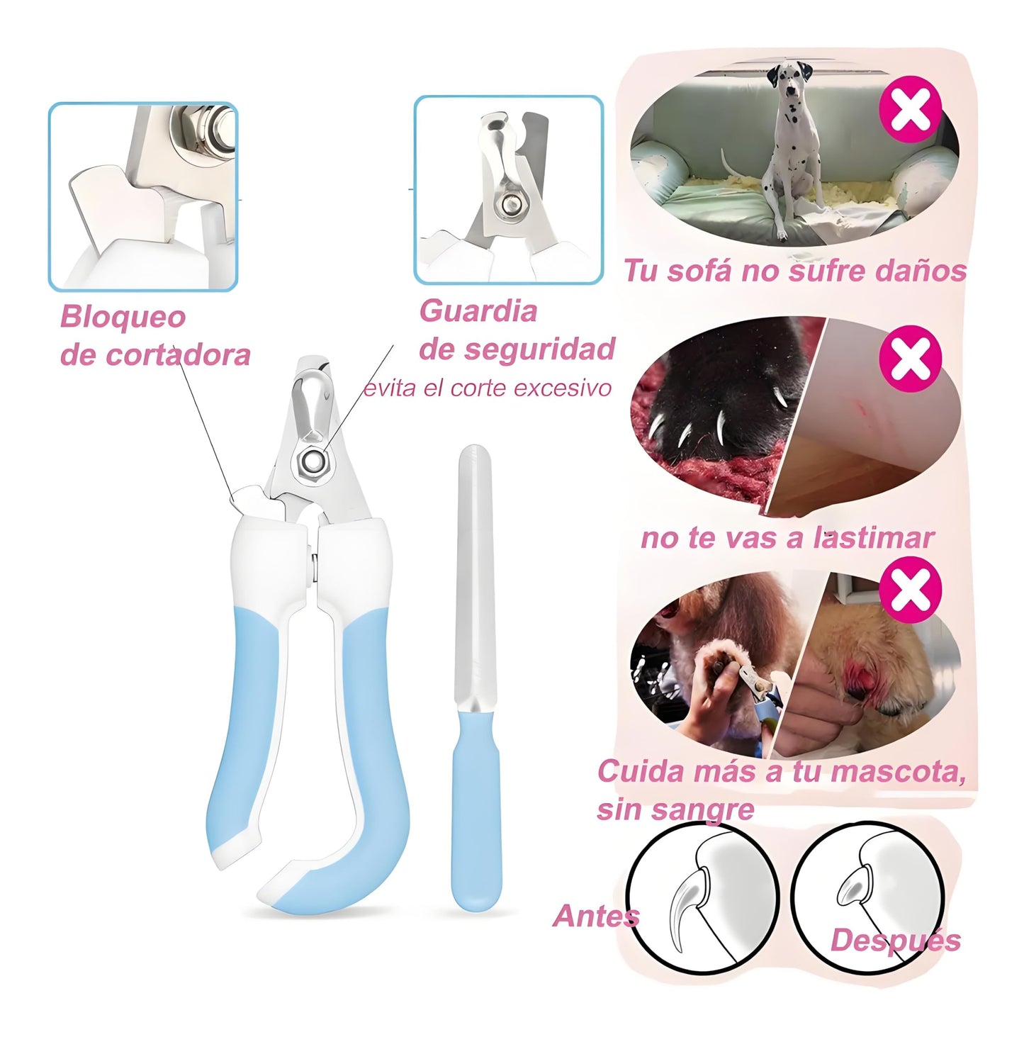 Cepillo Vapor para Mascotas NUOWEI 5 Piezas con Guantes y Cortauñas para el Cuidado Integral de Mascotas