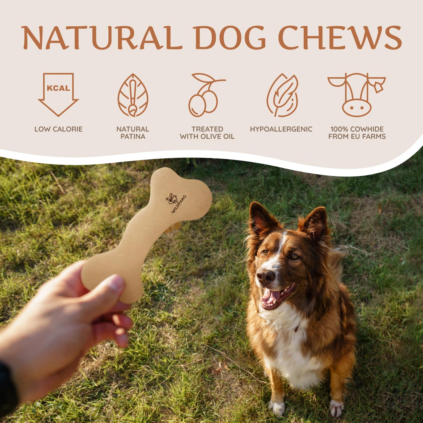 Huesos de Cuero Wildfang Huesos de Cuidado Dental para Perros
