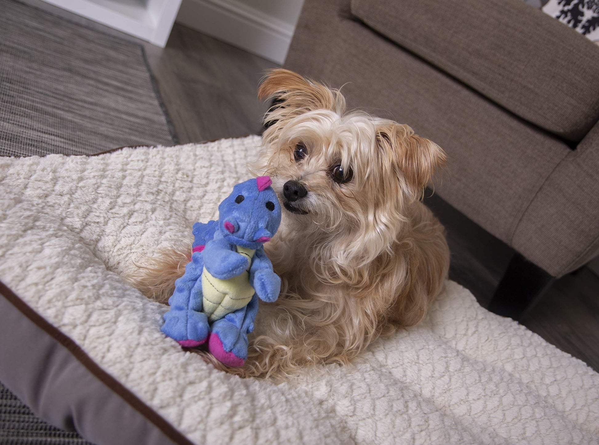 goDog - Juguete de peluche resistente para perros con tecnología Dragon with Chew Guard, bígaro, pequeño